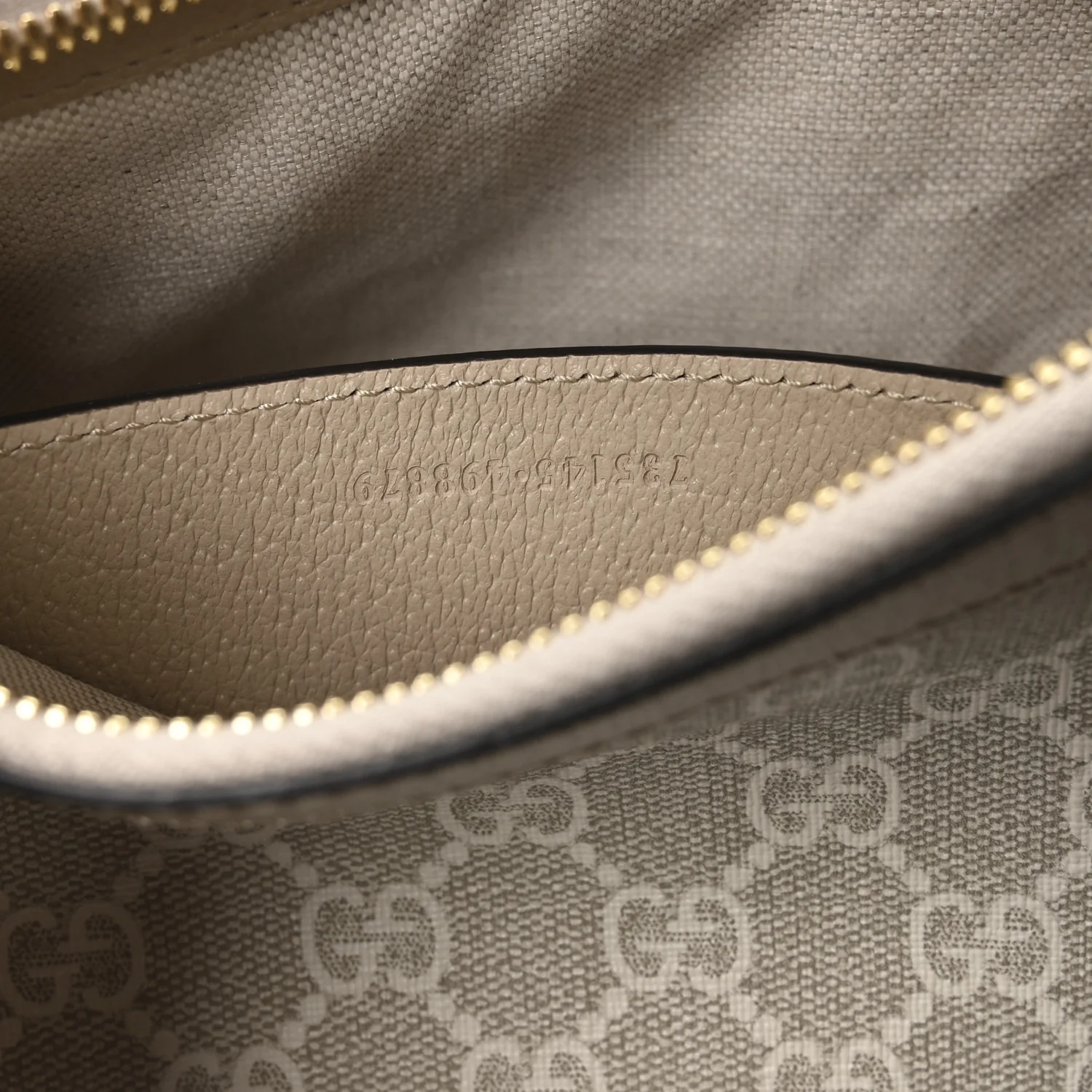 GG Supreme Monogram Textured Dollar Calfskin Small Ophidia Hobo Beige Mystic White Oatmeal - Image 12