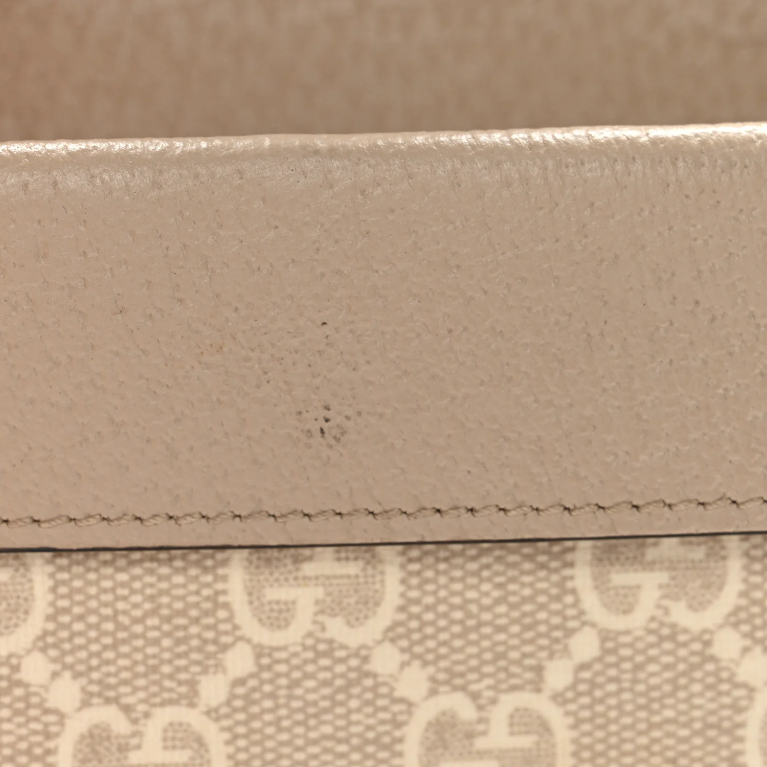 GG Supreme Monogram Textured Dollar Calfskin Super Mini Dionysus Shoulder Bag Beige Mystic White Oatmeal - Image 11