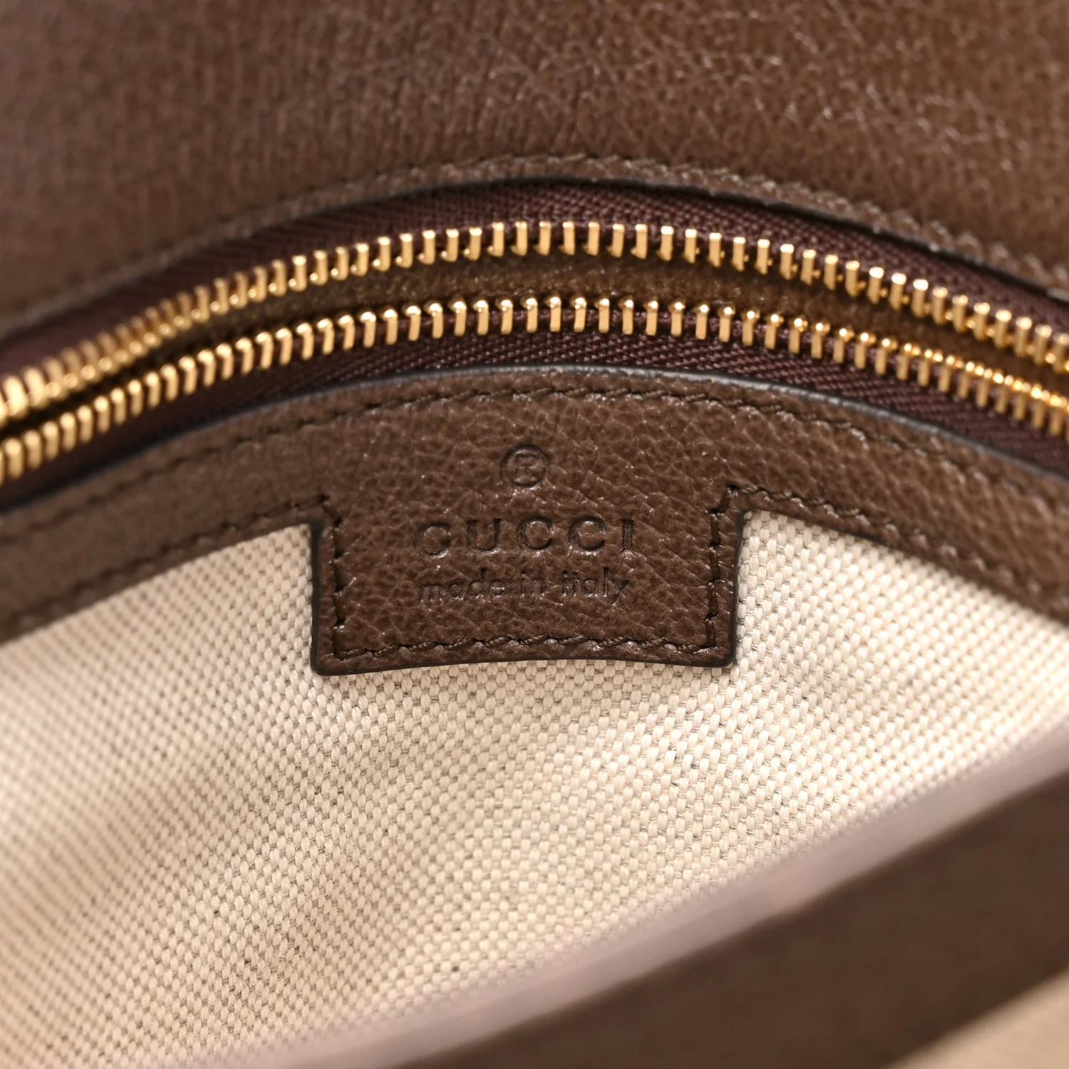 GG Supreme Monogram Textured Dollar Calfskin Web Medium Blondie Top Handle Shoulder Flap Bag Beige Ebony New Acero - Image 7