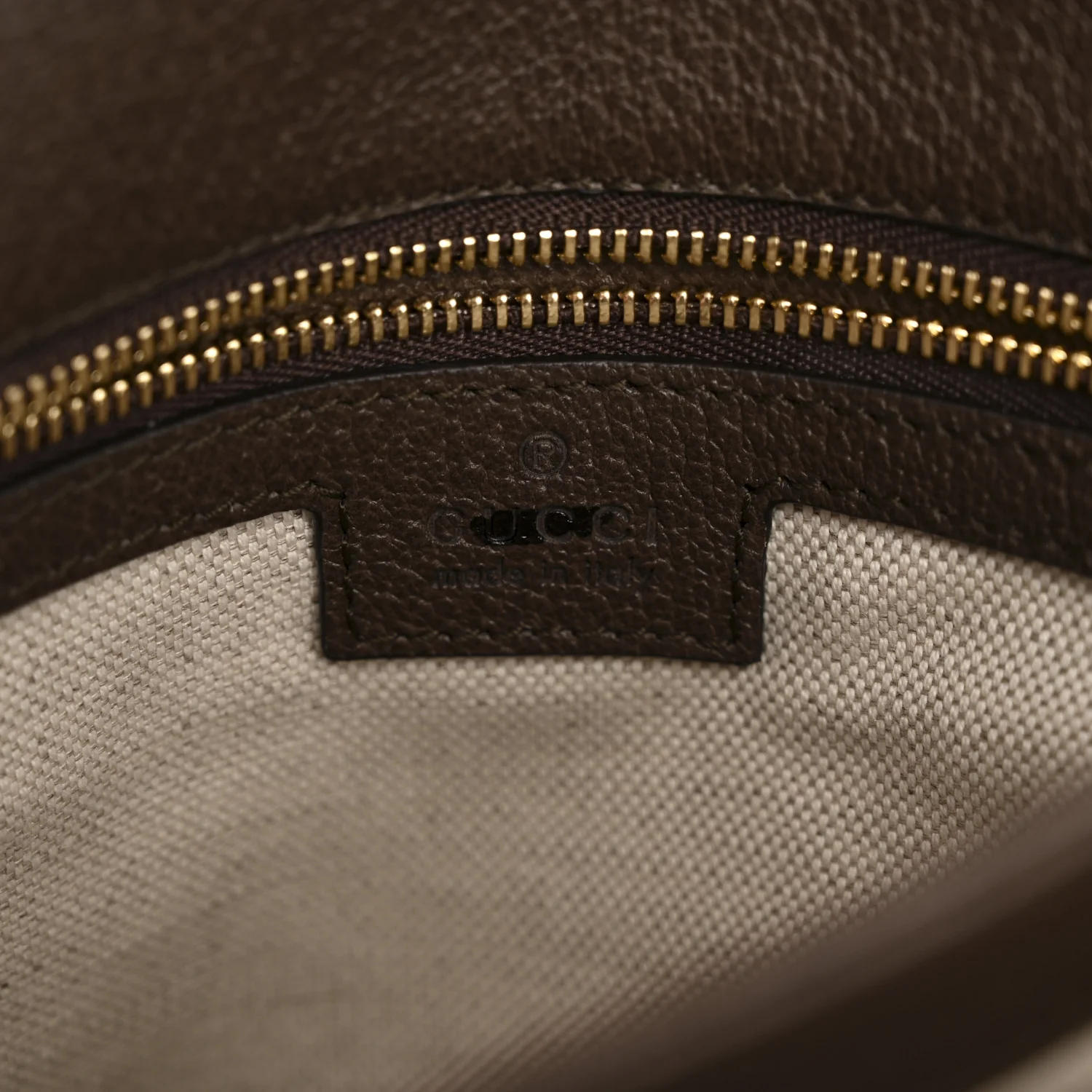 GG Supreme Monogram Textured Dollar Calfskin Web Medium Blondie Top Handle Shoulder Flap Bag Beige Ebony New Acero - Image 6
