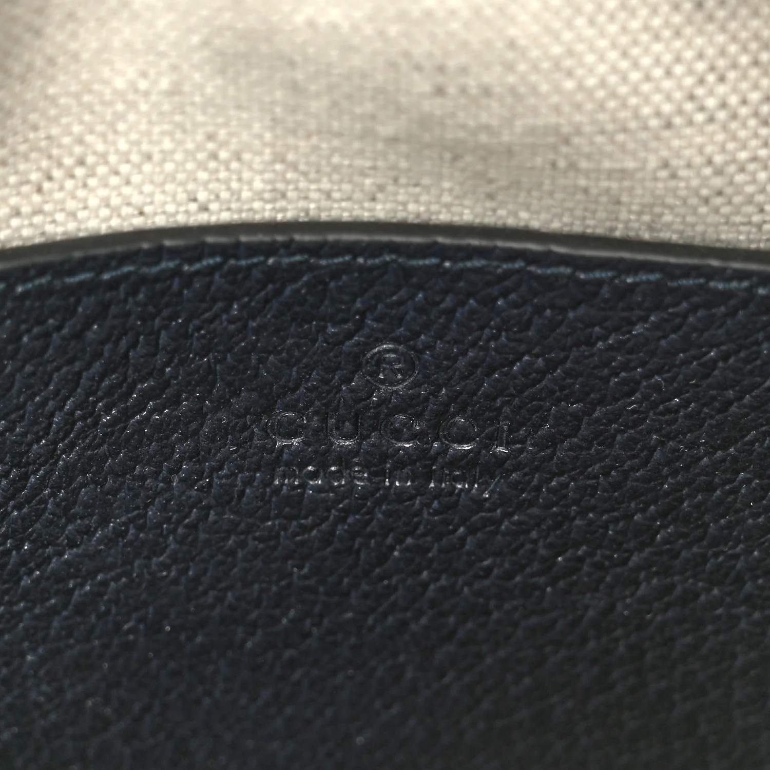 GG Supreme Monogram Textured Dollar Calfskin Web Small Ophidia Camera Bag Beige Blue - Image 6