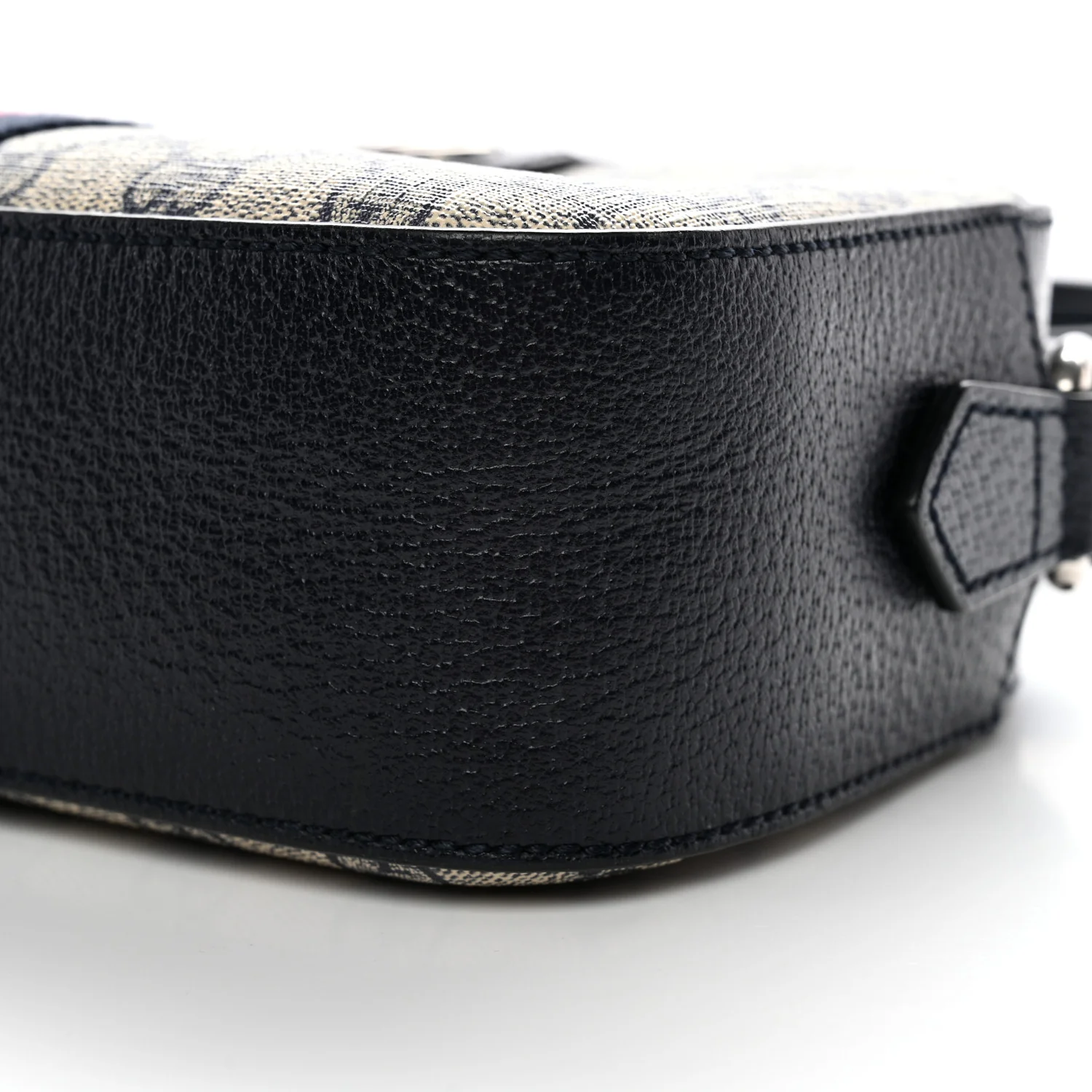GG Supreme Monogram Textured Dollar Calfskin Web Small Ophidia Camera Bag Beige Blue - Image 10