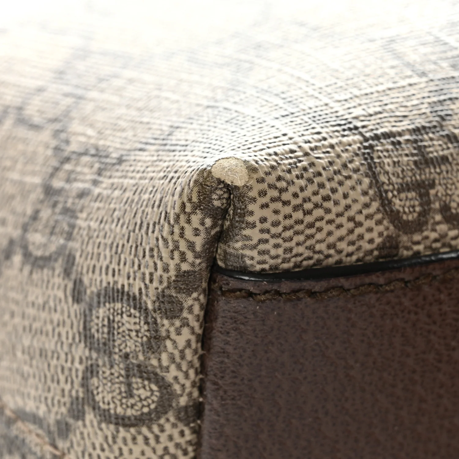 GG Supreme Monogram Textured Dollar Calfskin Web Small Ophidia Dome Shoulder Bag Beige Ebony New Acero - Image 11