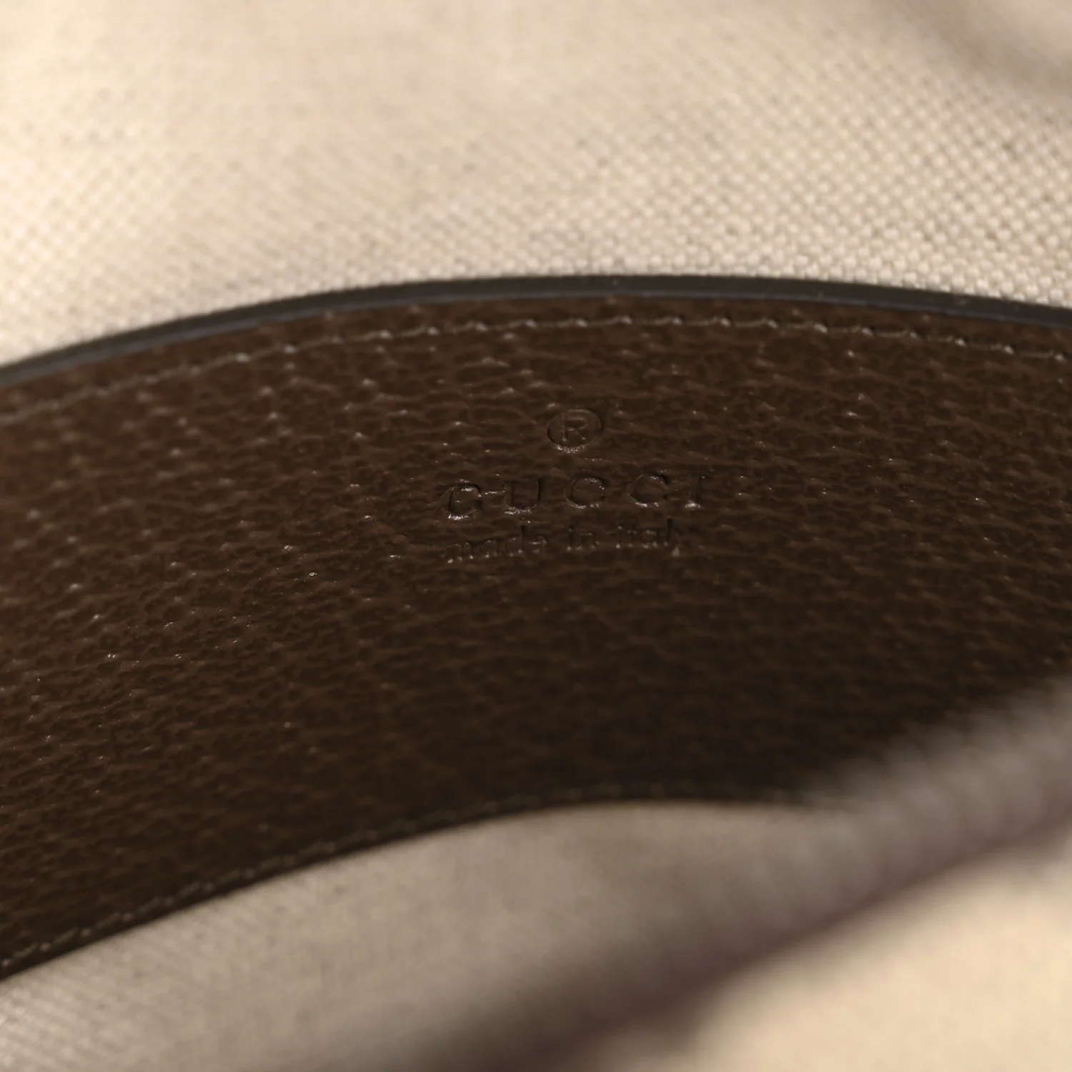 GG Supreme Monogram Web Mini Ophidia Messenger Brown - Image 6