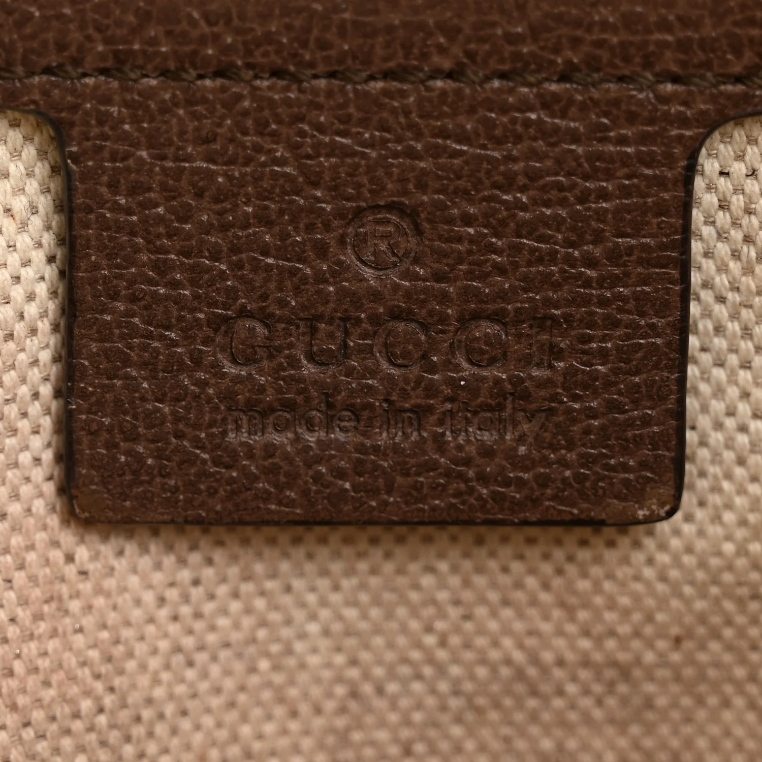 GG Supreme Monogram Web Small Ophidia Half Moon Hobo Brown - Image 6