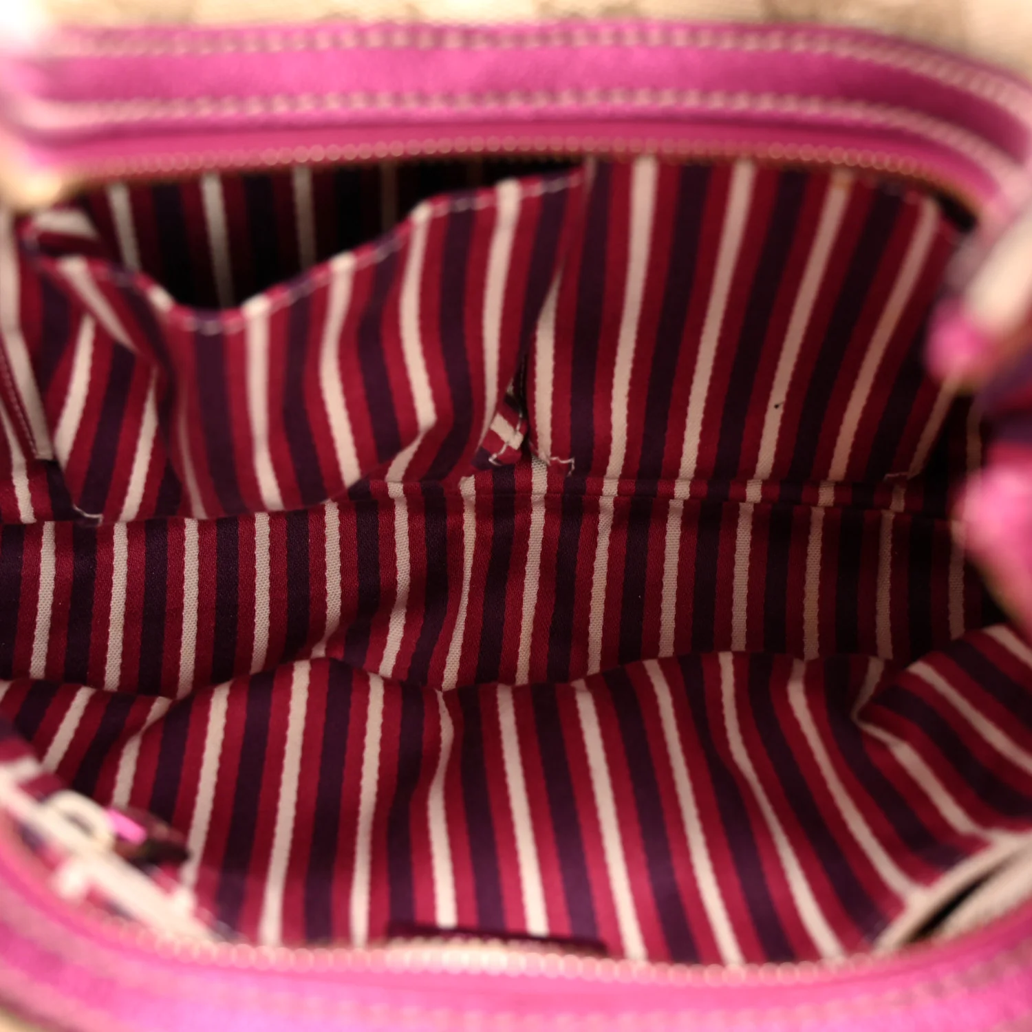 Metallic Calfskin Monogram Small New Britt Hobo Pink - Image 5