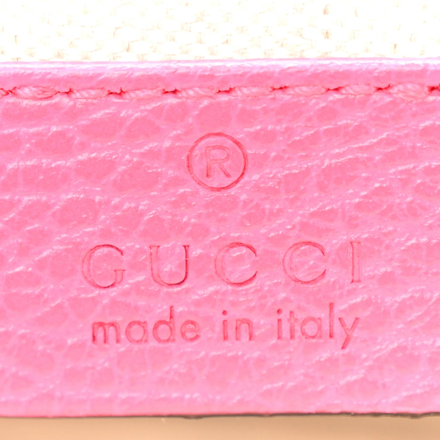 Pebbled Calfskin Embellished Guccify Small Dionysus Shoulder Bag Rosa - Image 7