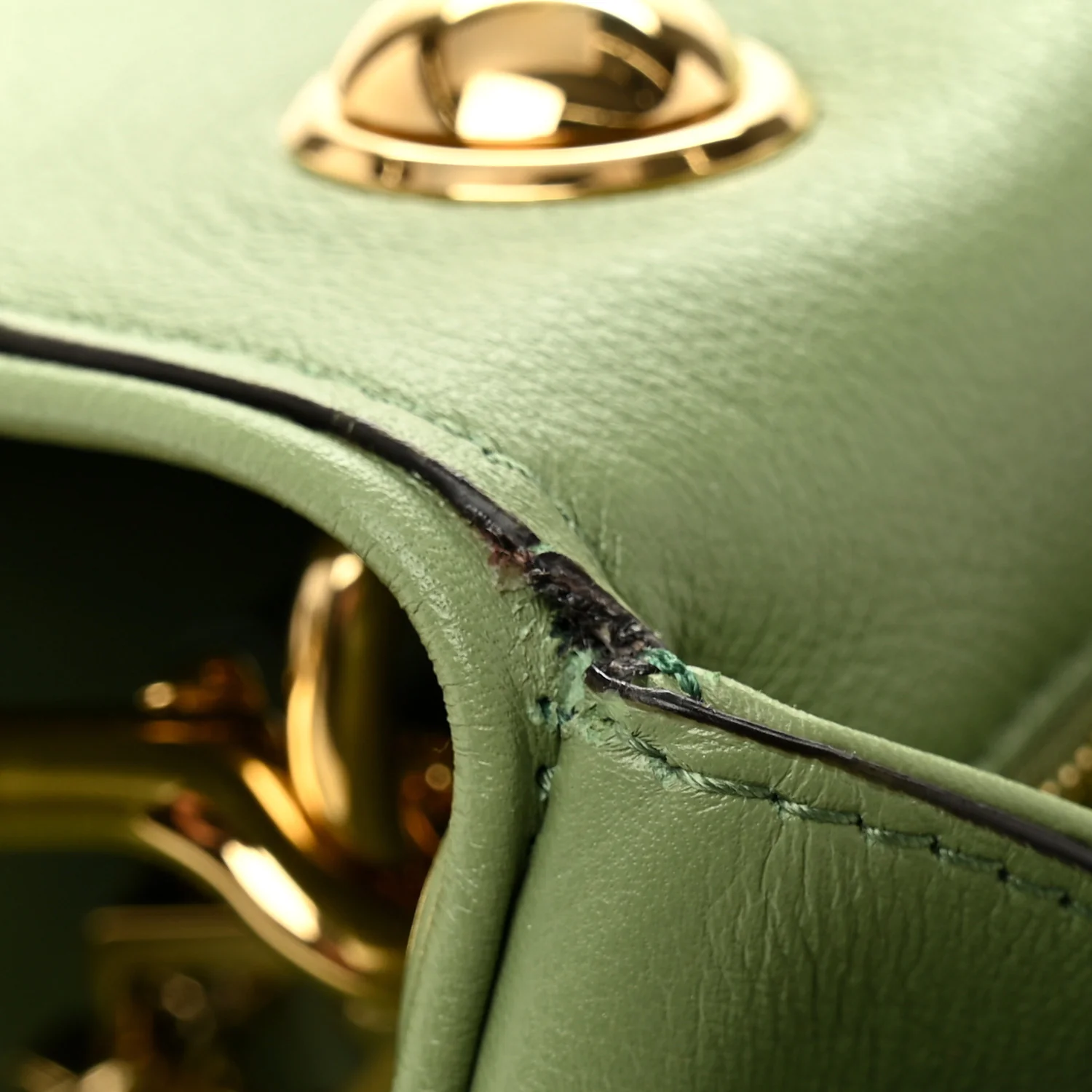 Roxy Calfskin Web Medium Blondie Top Handle Shoulder Flap Bag Salamander Green - Image 12