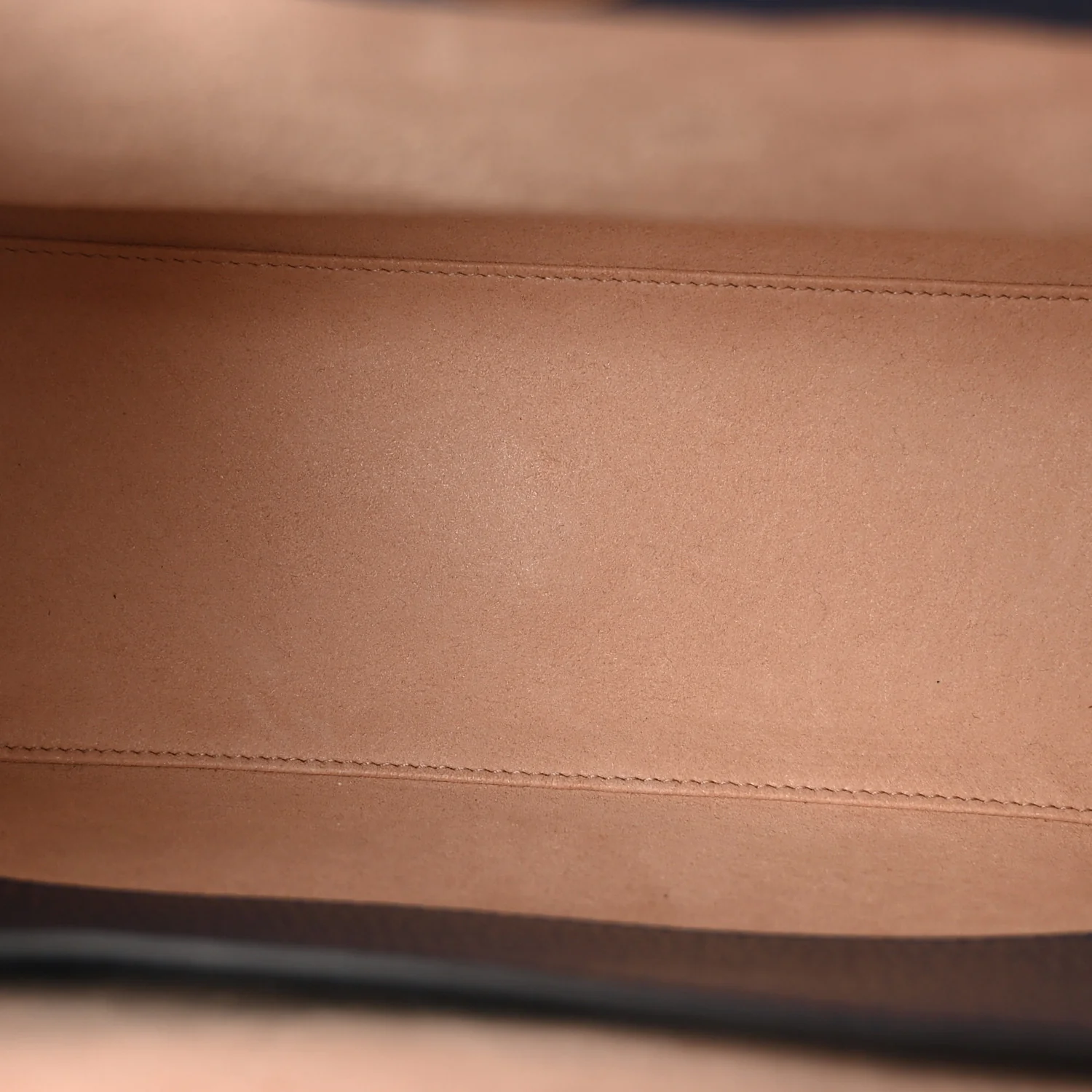 Textured Dollar Calfskin Web Small Diana Tote Bag Royal Crop - Image 5