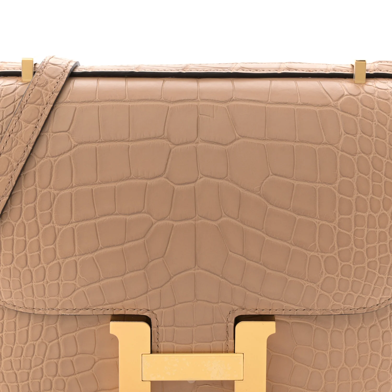Matte Alligator Constance 18 Chai - Image 8