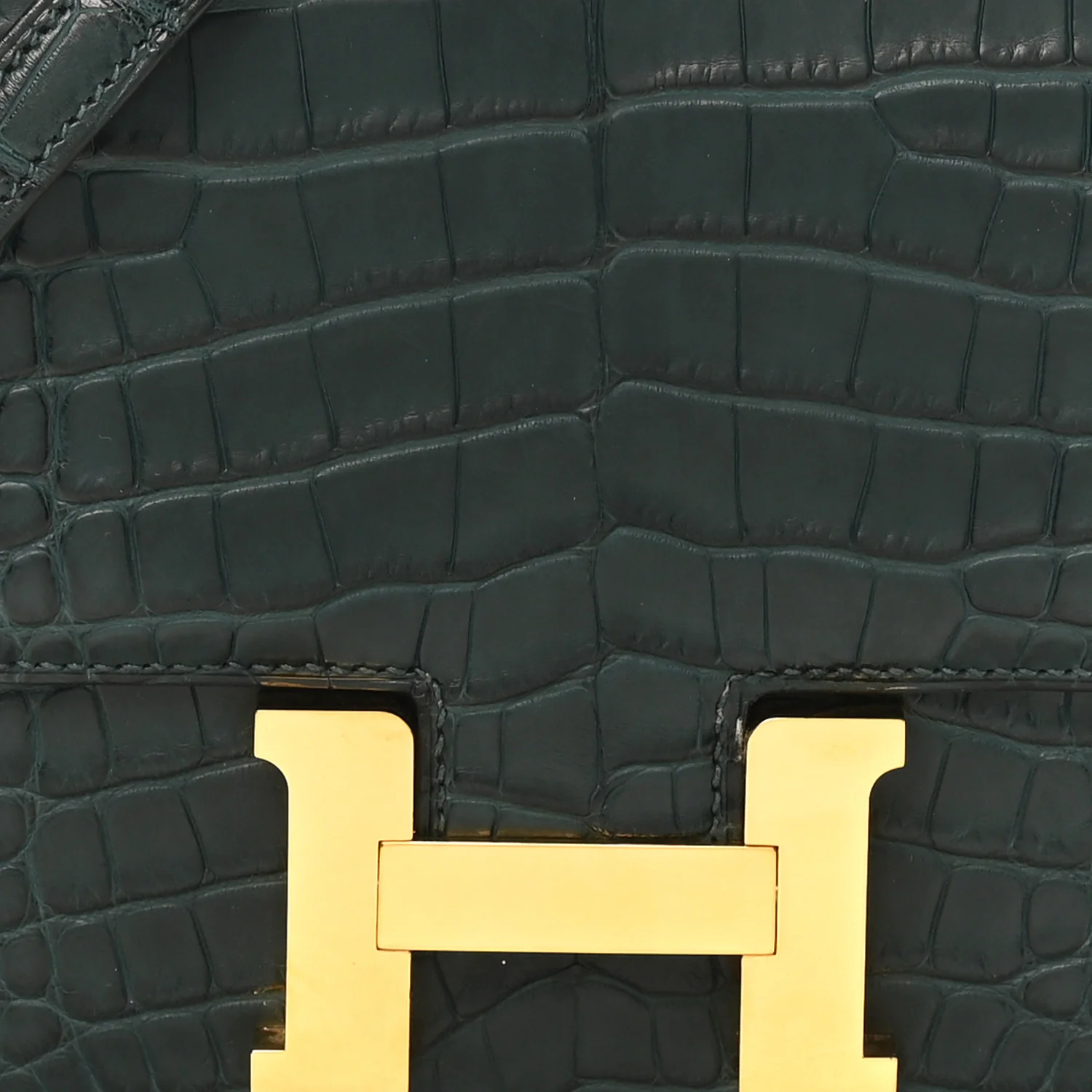 Matte Alligator Constance 18 Vert Cypress - Image 8