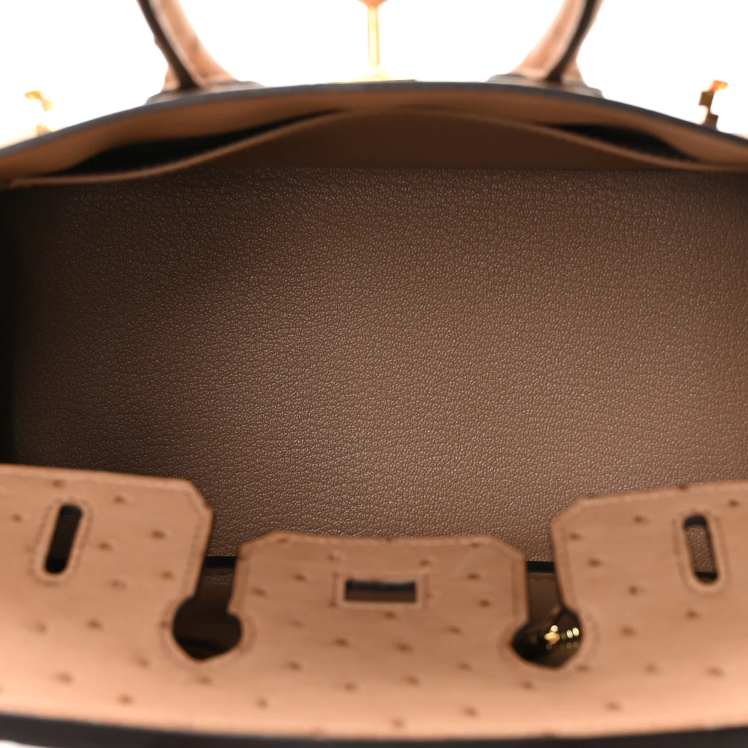 Ostrich Birkin 25 Chai - Image 5