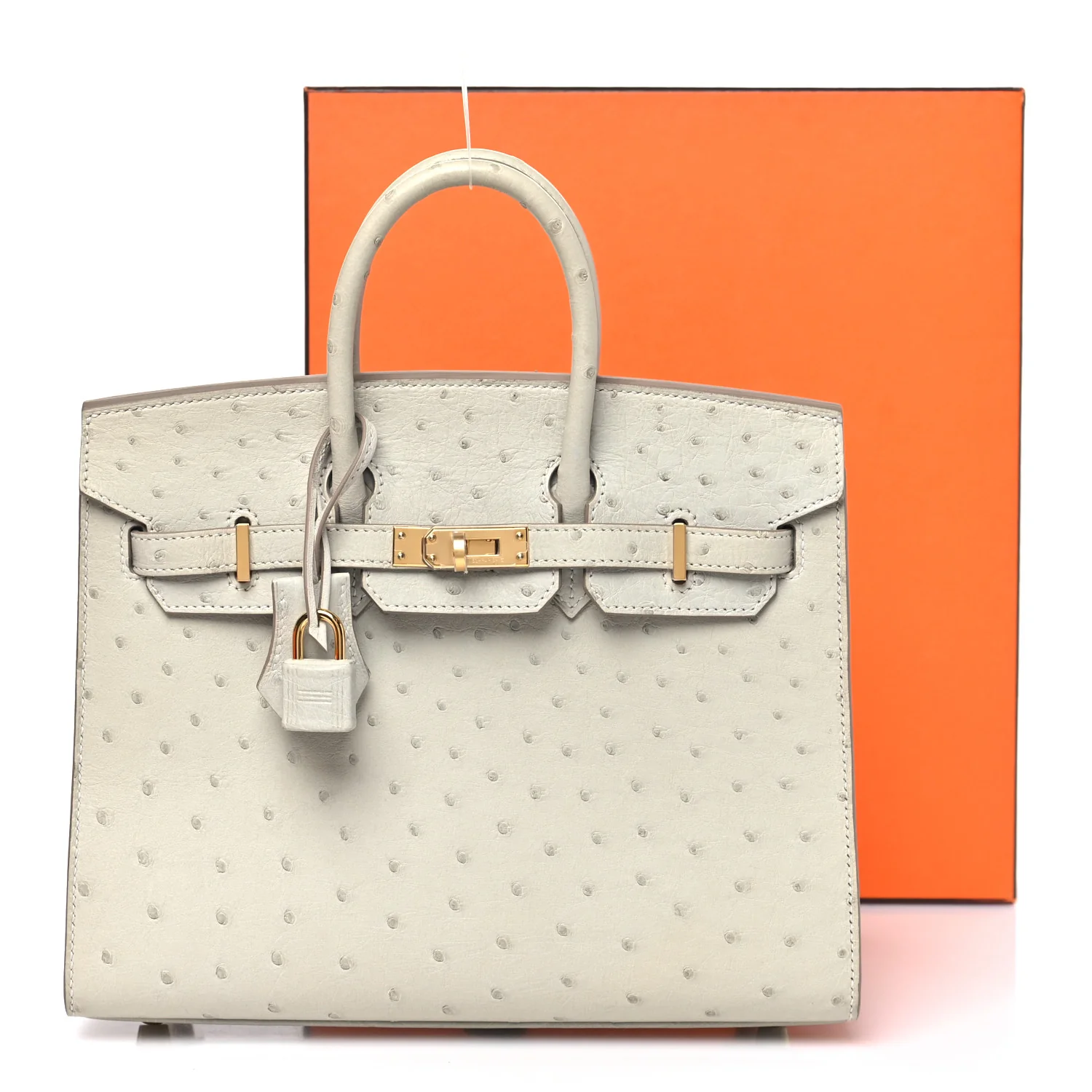 Ostrich Birkin Sellier 25 Gris Perle - Image 11