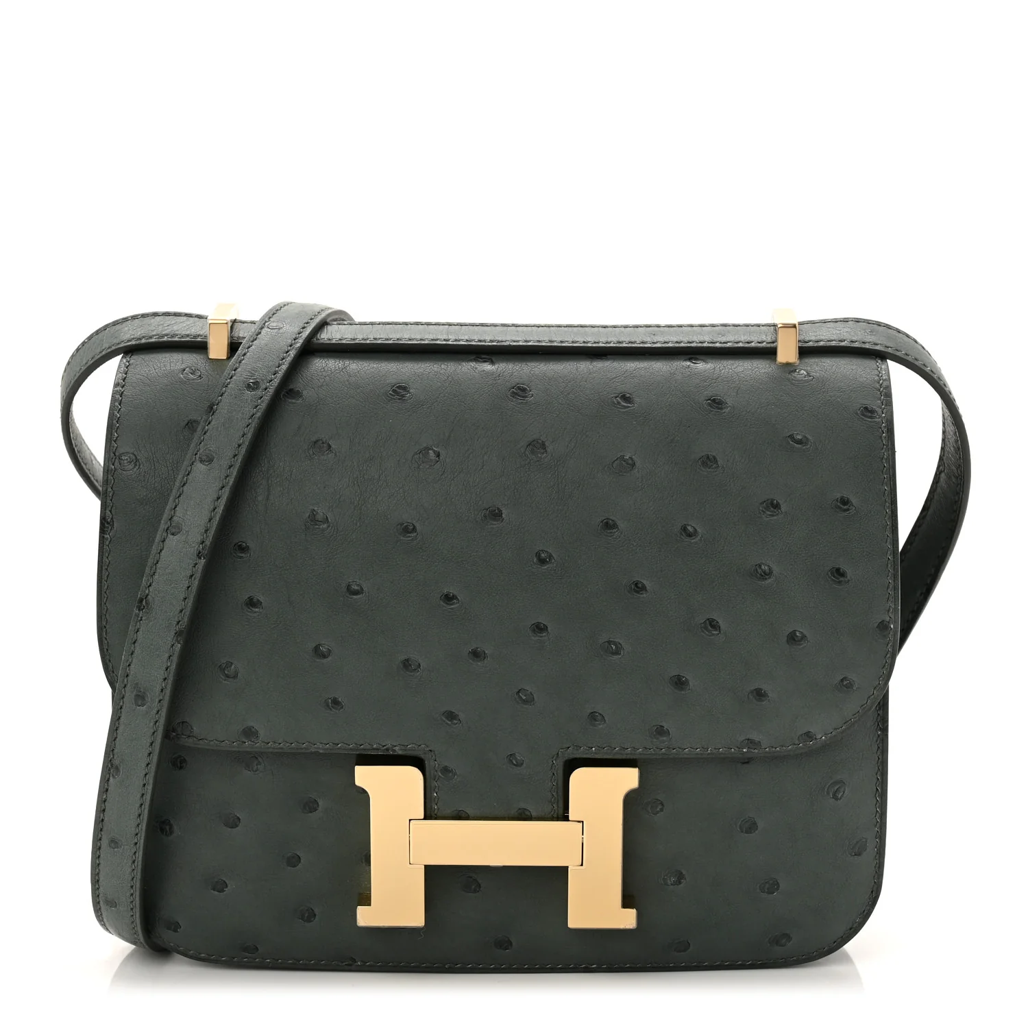Ostrich Constance 18 Vert Amande