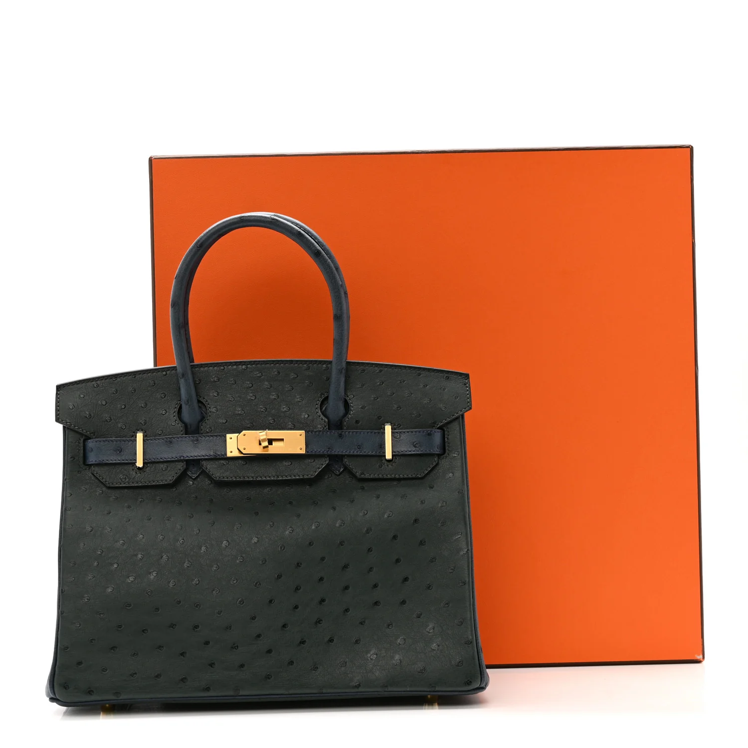 Ostrich Horseshoe Birkin 30 Vert Titien Bleu Roi - Image 11