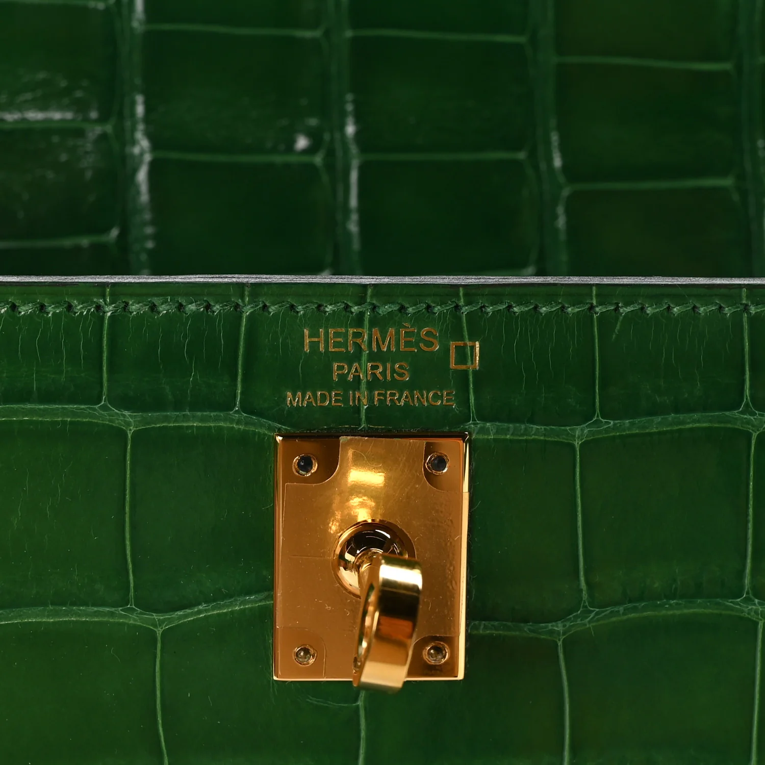 Shiny Alligator Kelly Sellier 25 Cactus - Image 6