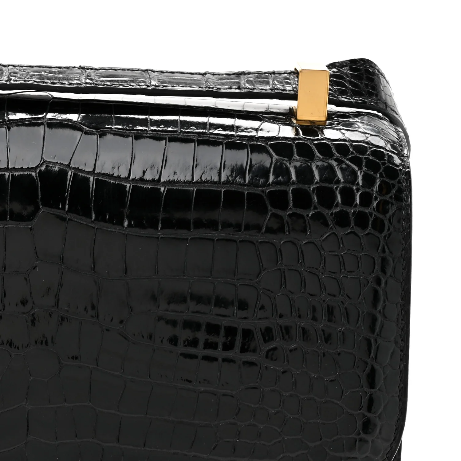 Shiny Porosus Crocodile Constance 24 Black - Image 9