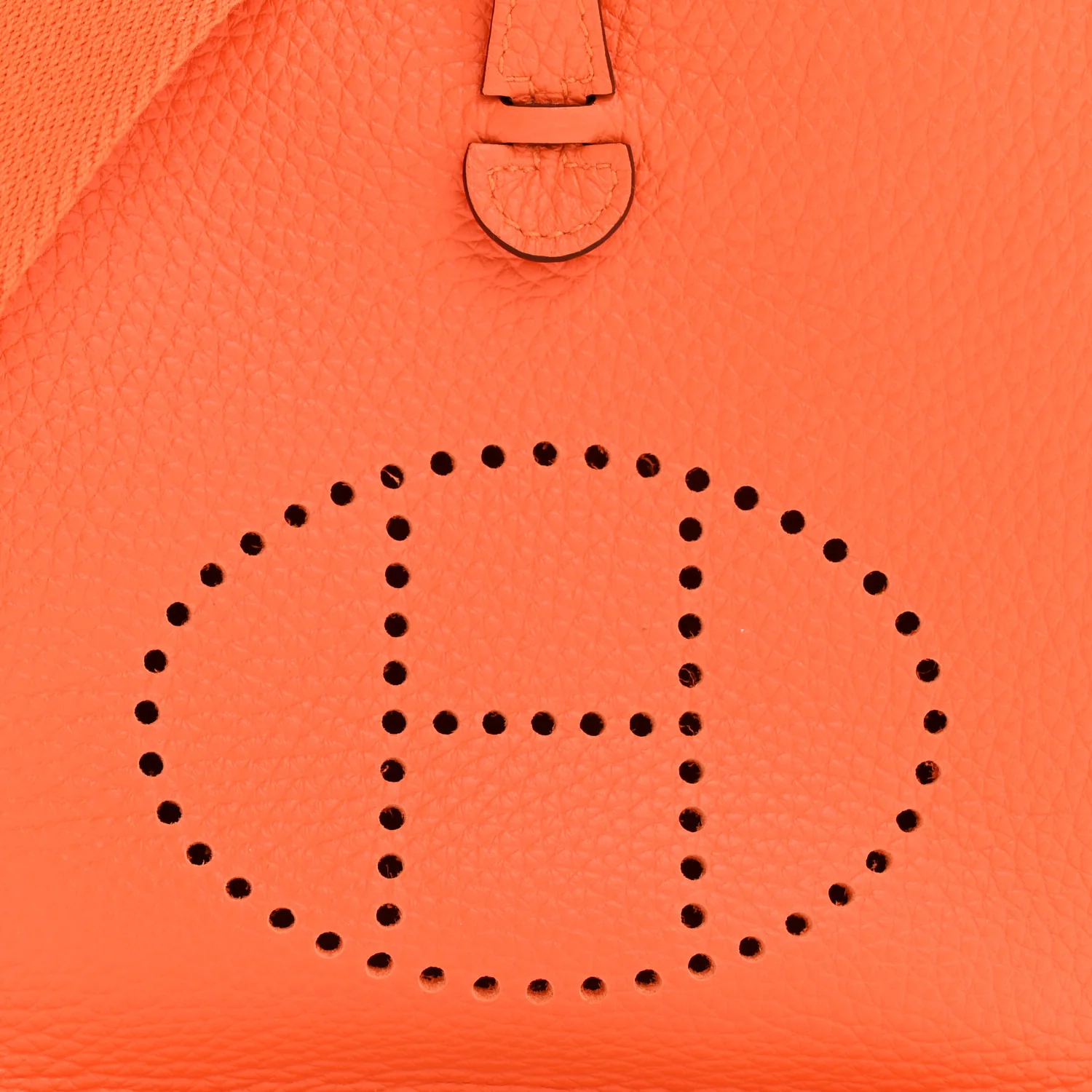 Taurillon Clemence Evelyne TPM Orange Minium - Image 8