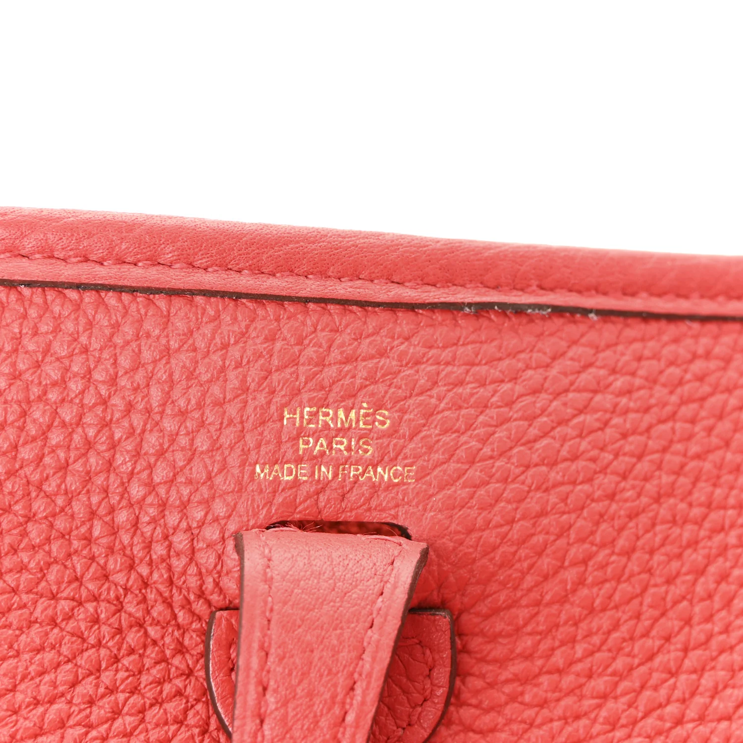 Taurillon Clemence Evelyne TPM Rouge De Coeur - Image 6