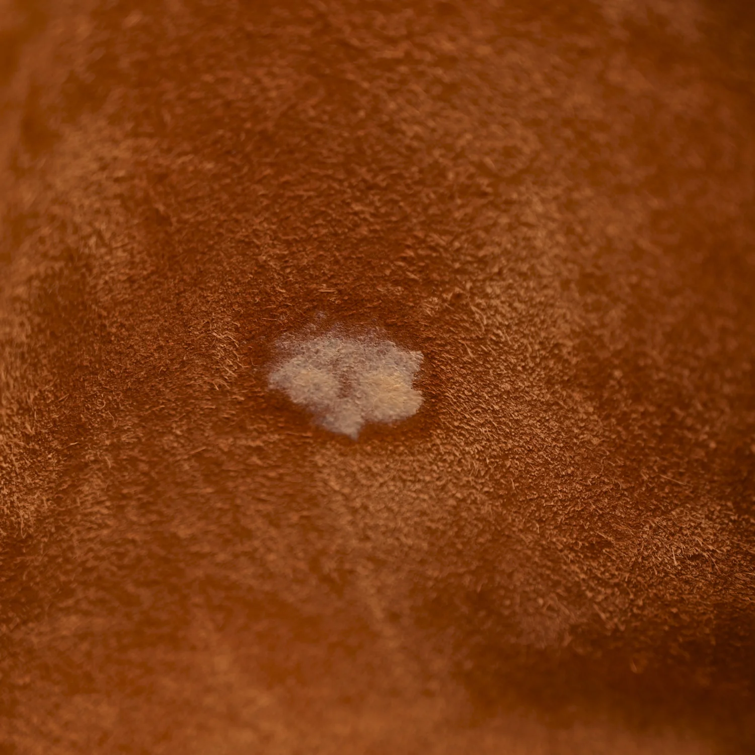 Taurillon Clemence Flipperball Sangle Evelyne III PM Gold Bleu Pale Caramel Nata - Image 11