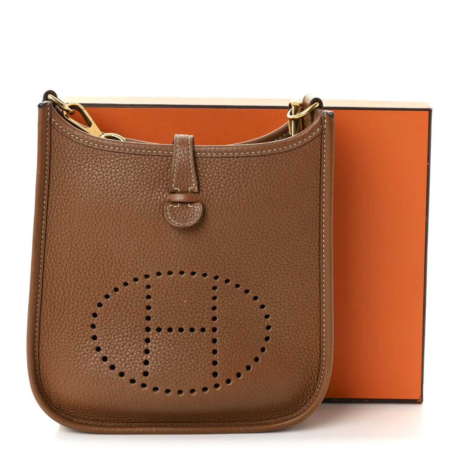Taurillon Maurice Amazone Evelyne TPM Gold Cuivre - Image 10