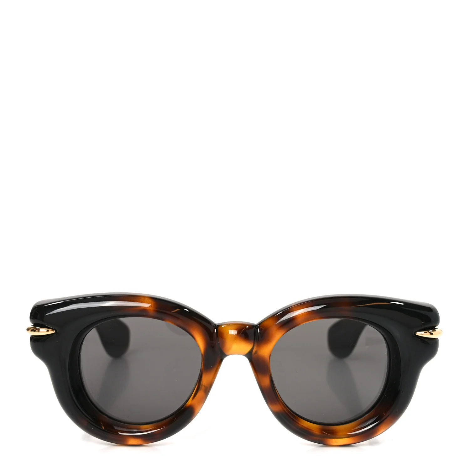 Acetate Inflated Cat-Eye Sunglasses LW40118I Tortoise - Image 2