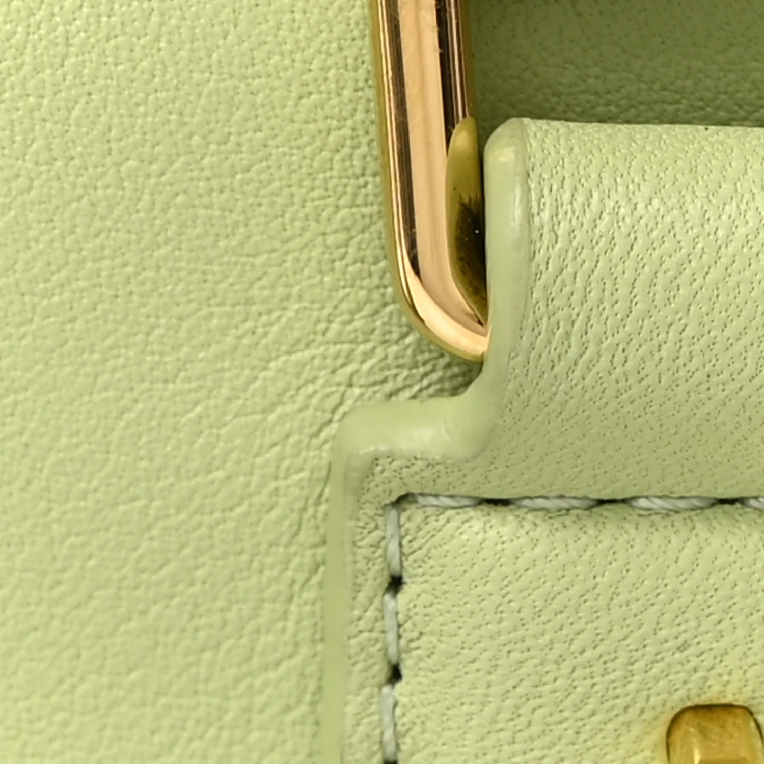 Calfskin Amazona 16 Tote Light Pear - Image 8