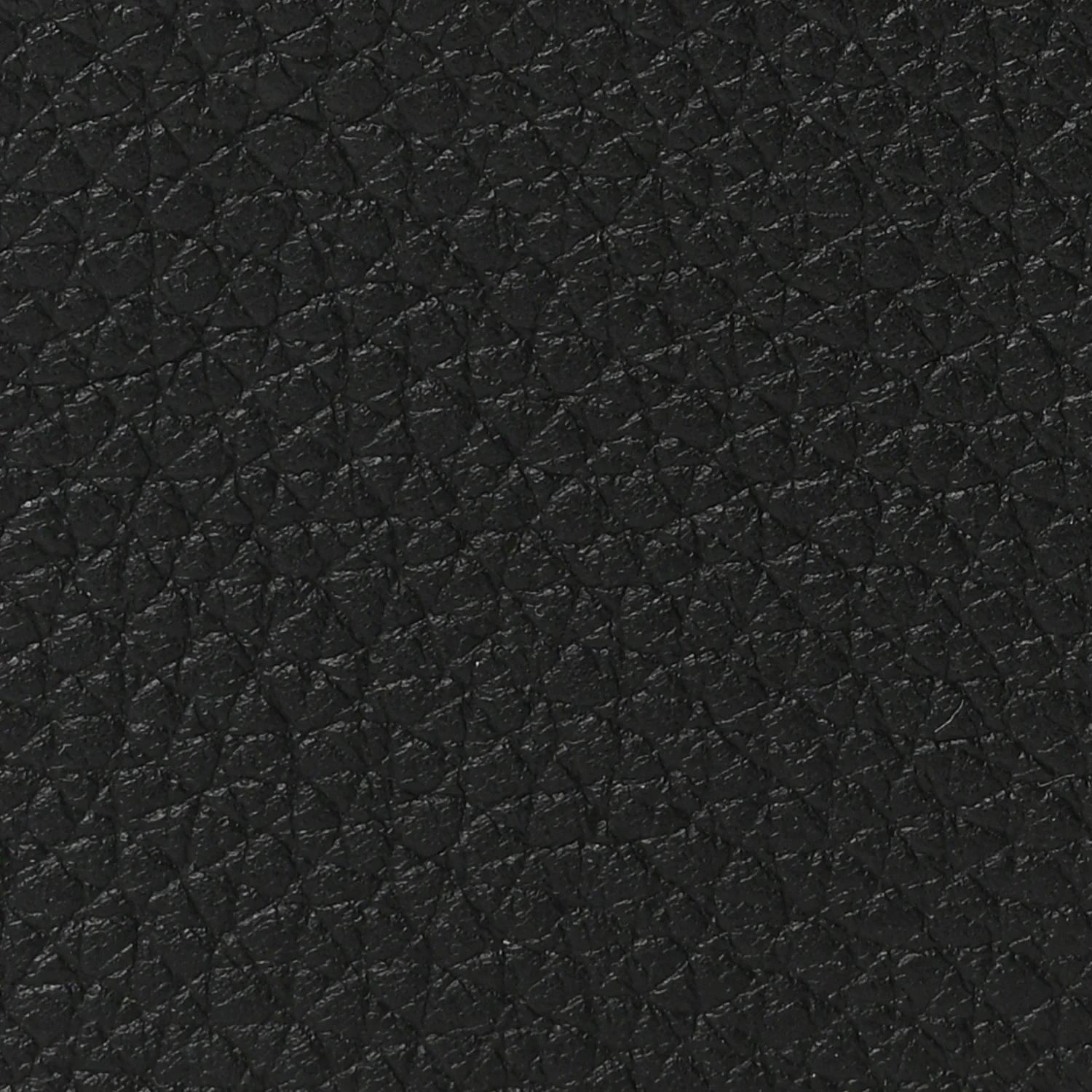 Grained Calfskin L19 Extra Pocket Pouch Black - Image 7