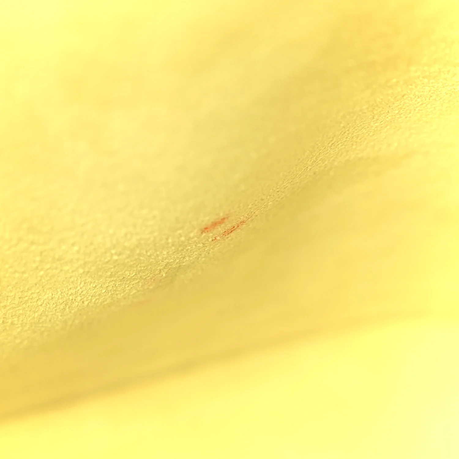 Epi Alma PM Pistache - Image 11