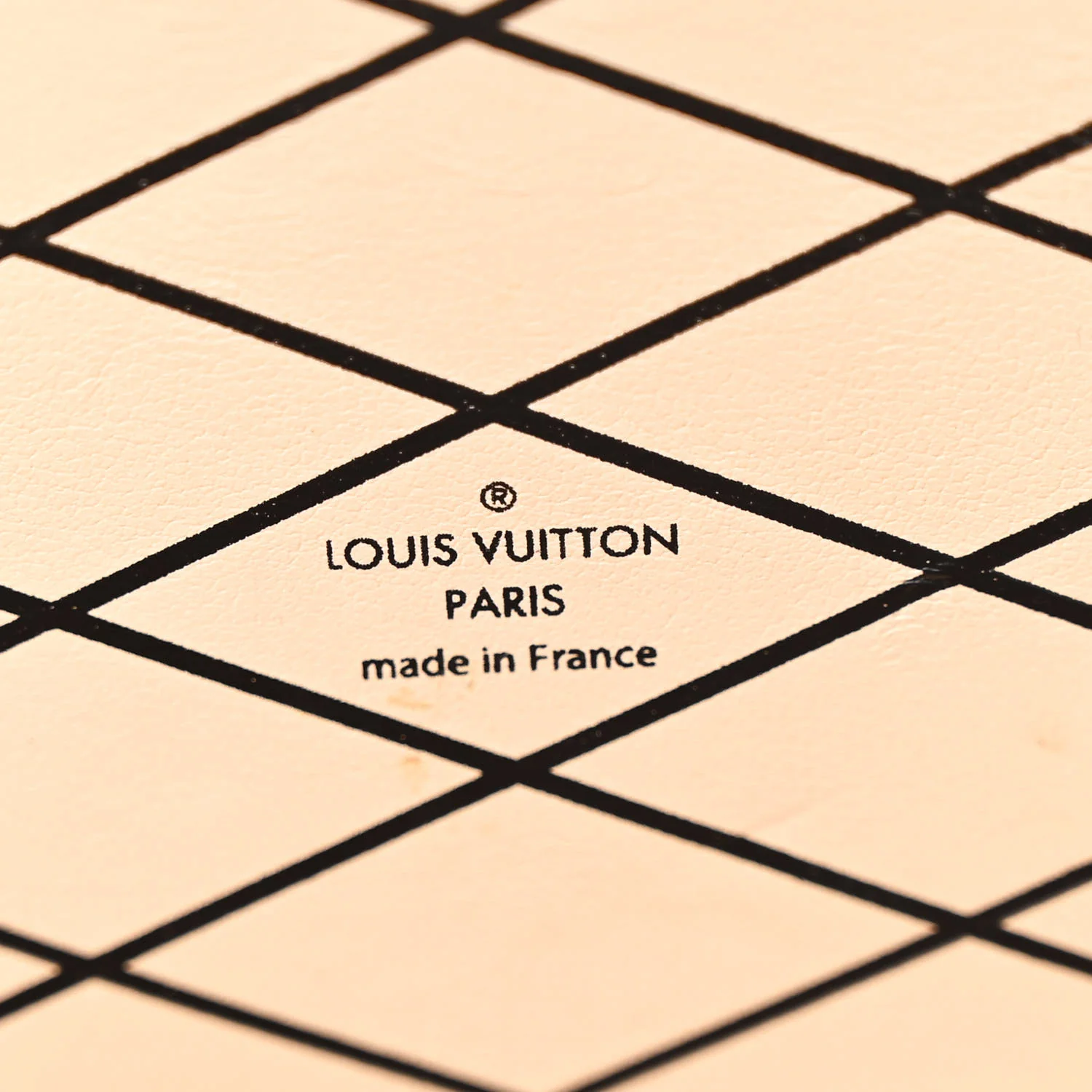 Epi Chevron Printed Petite Malle - Image 6