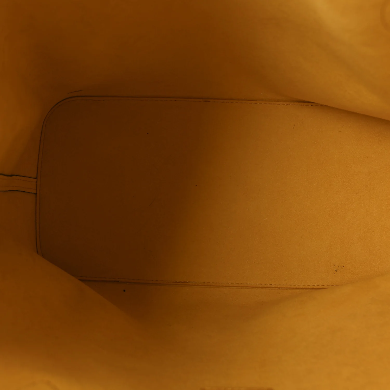 Epi Neverfull MM Mimosa - Image 6