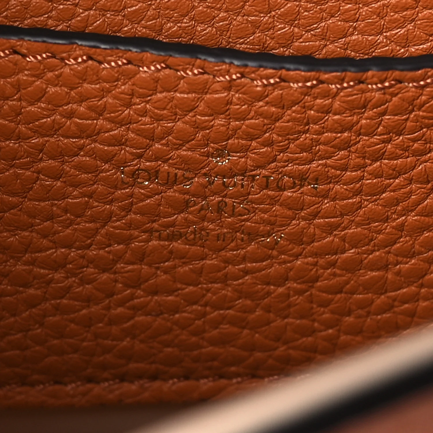 Grained Calfskin LV Pont 9 Soft MM Golden Siena - Image 6
