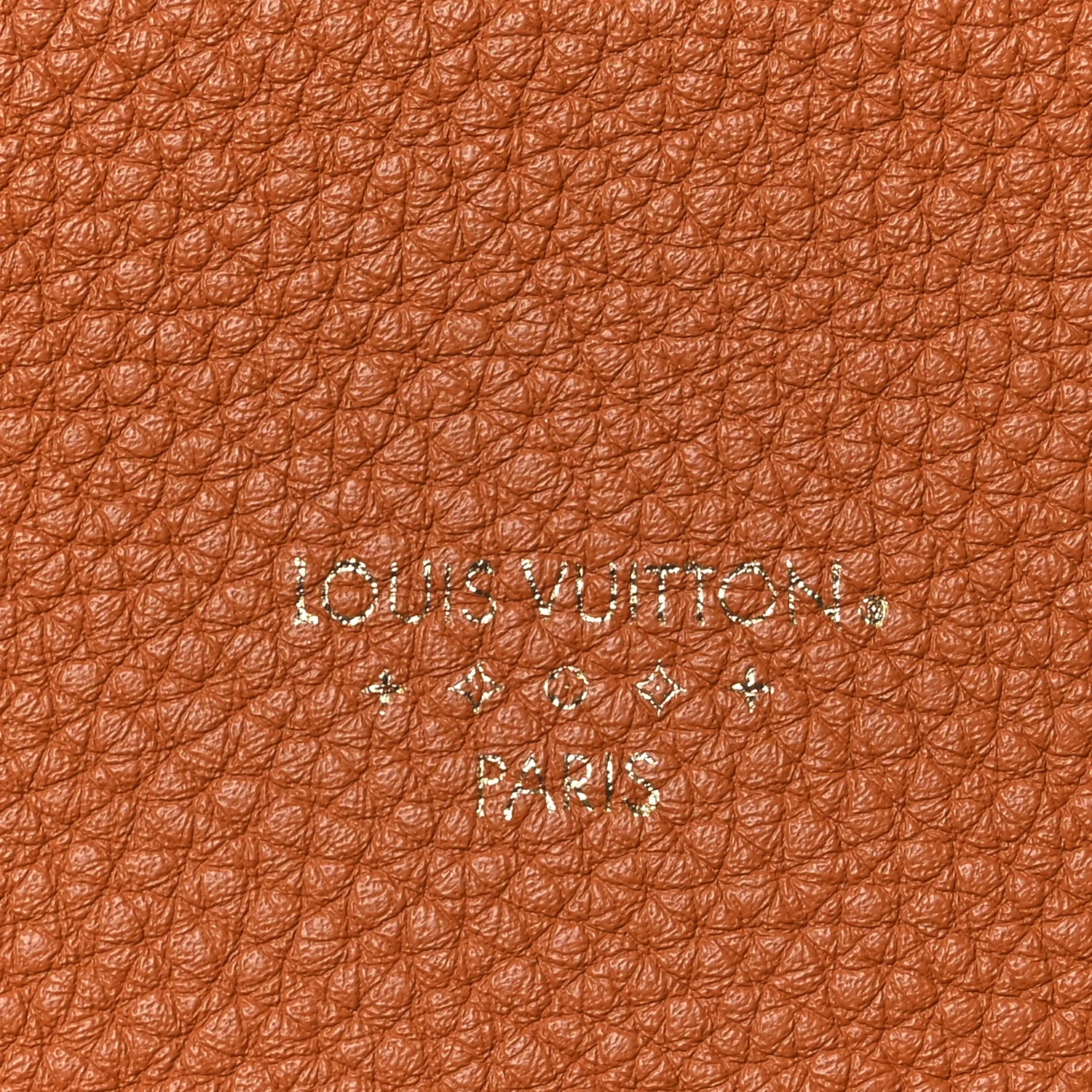 Grained Calfskin LV Pont 9 Soft MM Golden Siena - Image 7