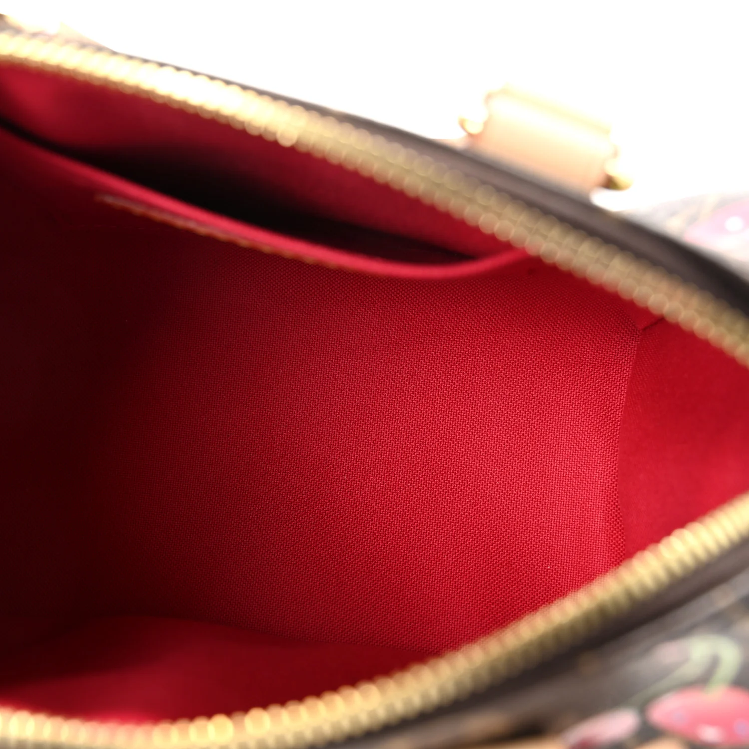 LV X TM Monogram Cerises Speedy Bandouliere 20 - Image 5