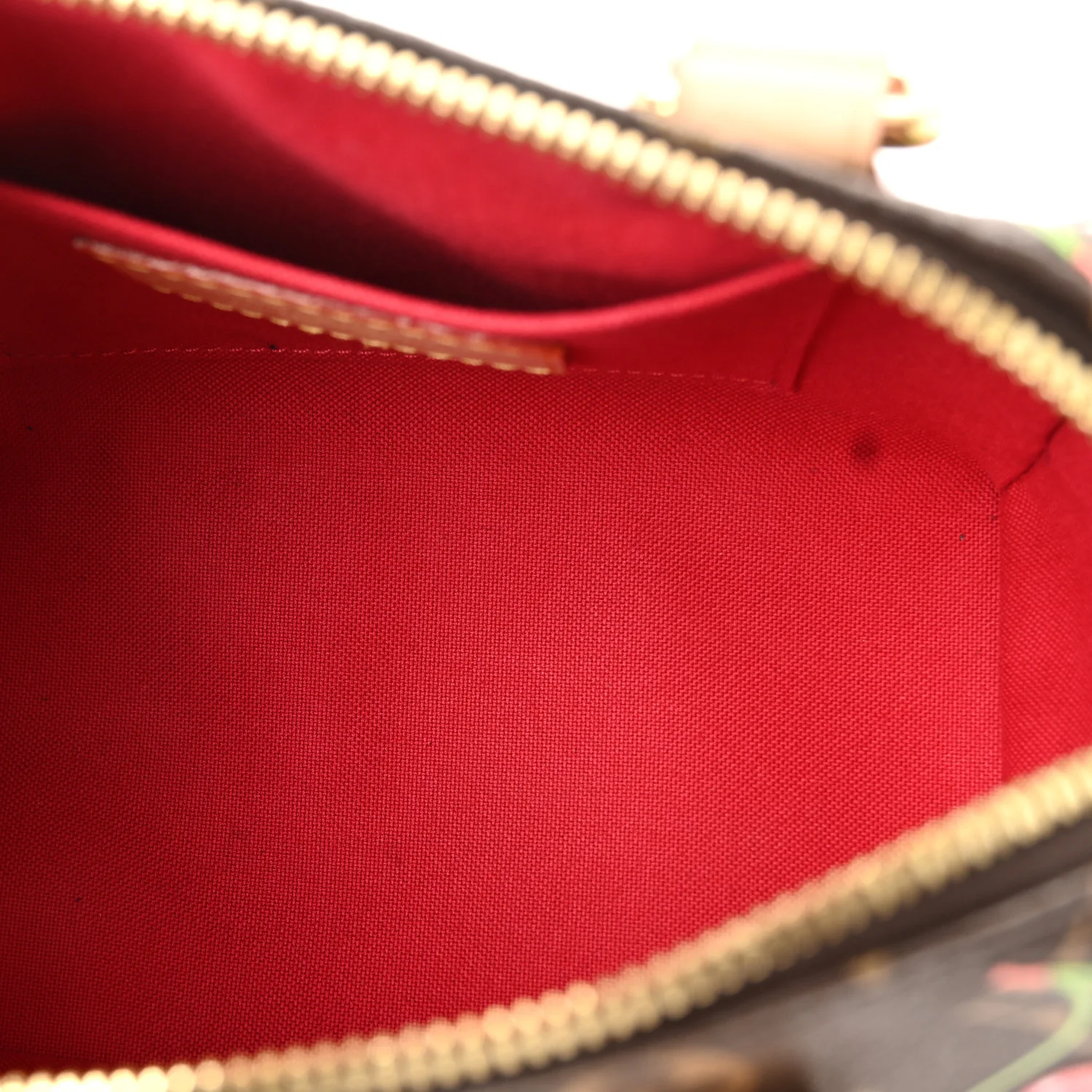 LV X TM Monogram Cerises Speedy Bandouliere 20 - Image 5