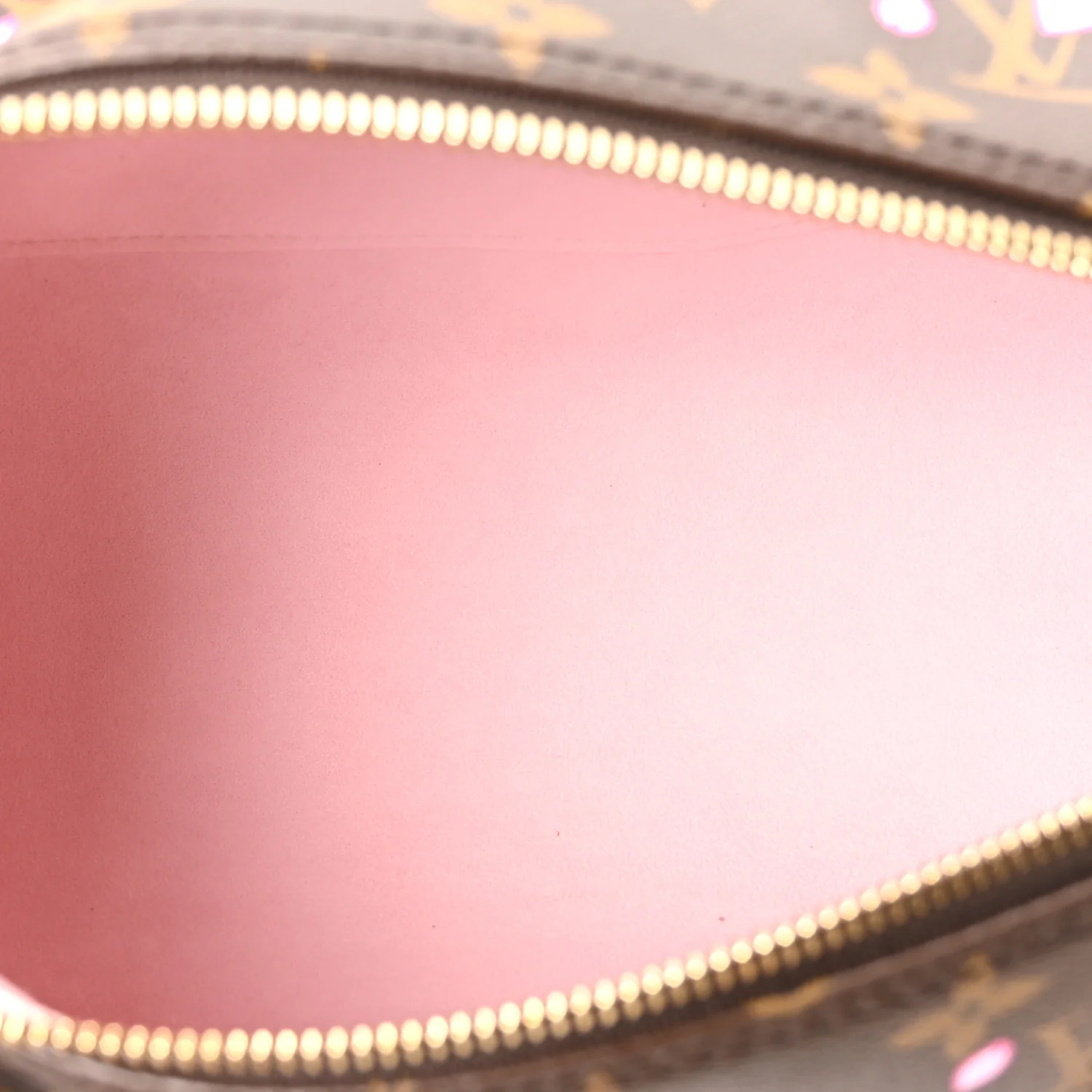 LV X TM Monogram Cherry Blossom Papillon Sakura Brown - Image 6