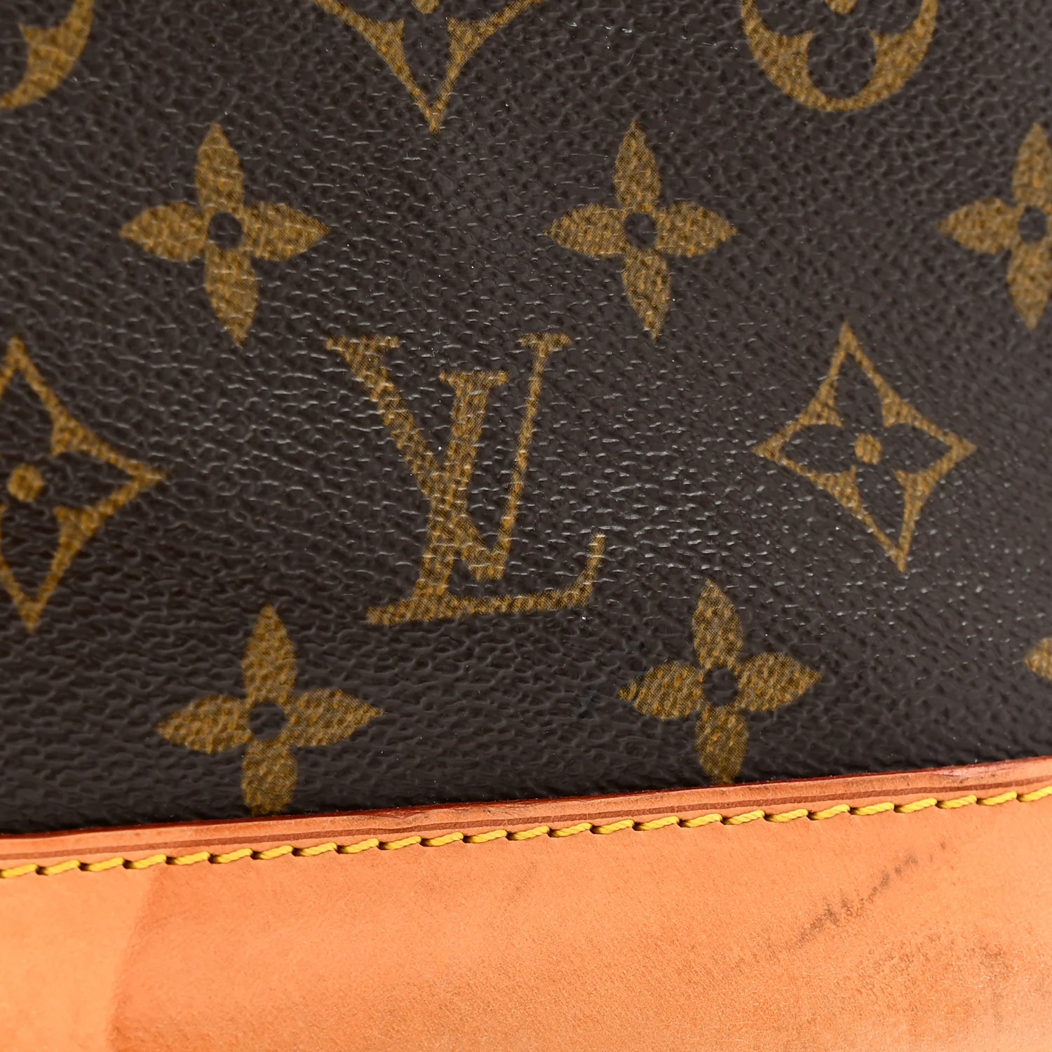Monogram Alma PM - Image 12