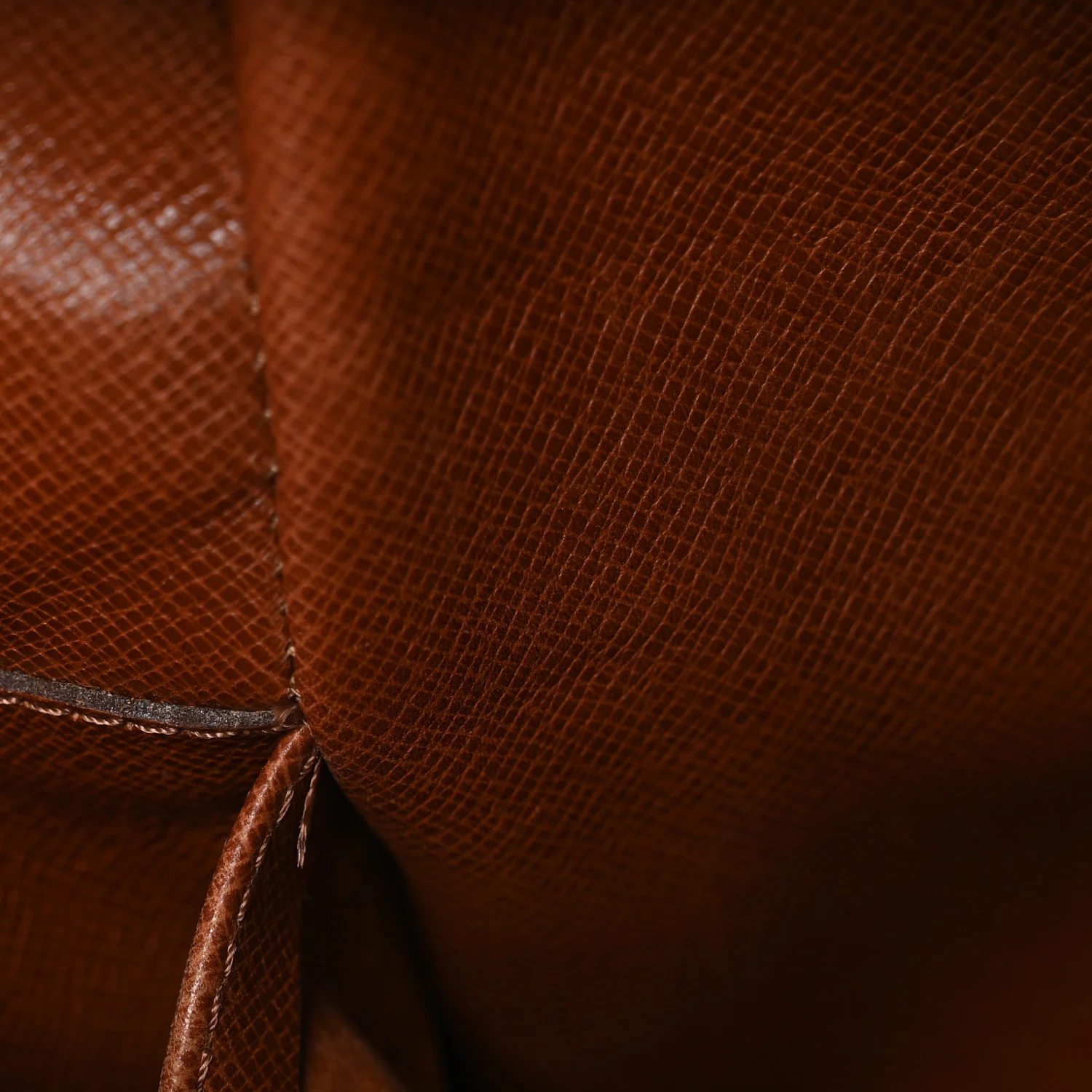 Monogram Amazone MM - Image 11