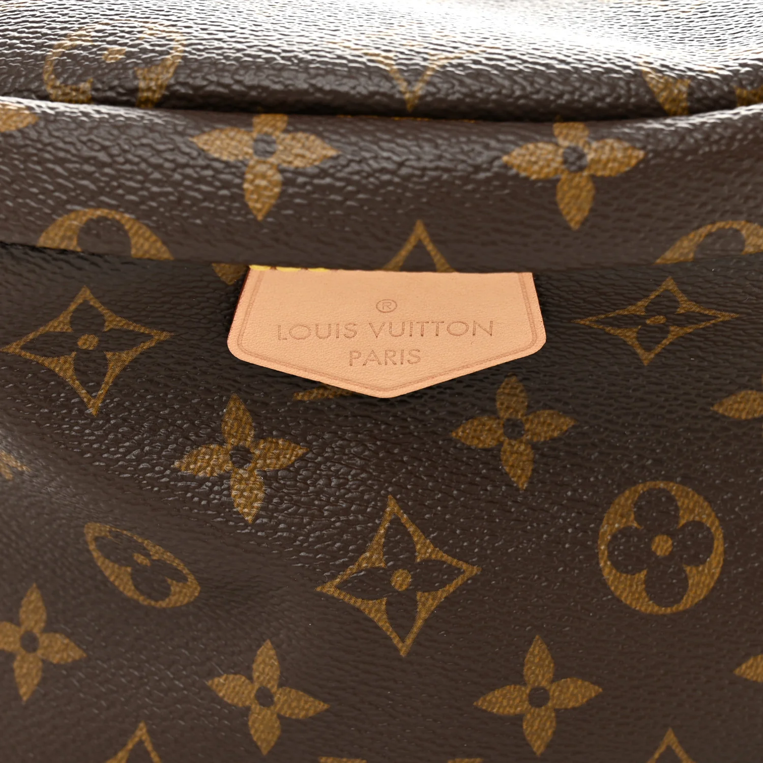 Monogram Bumbag - Image 8