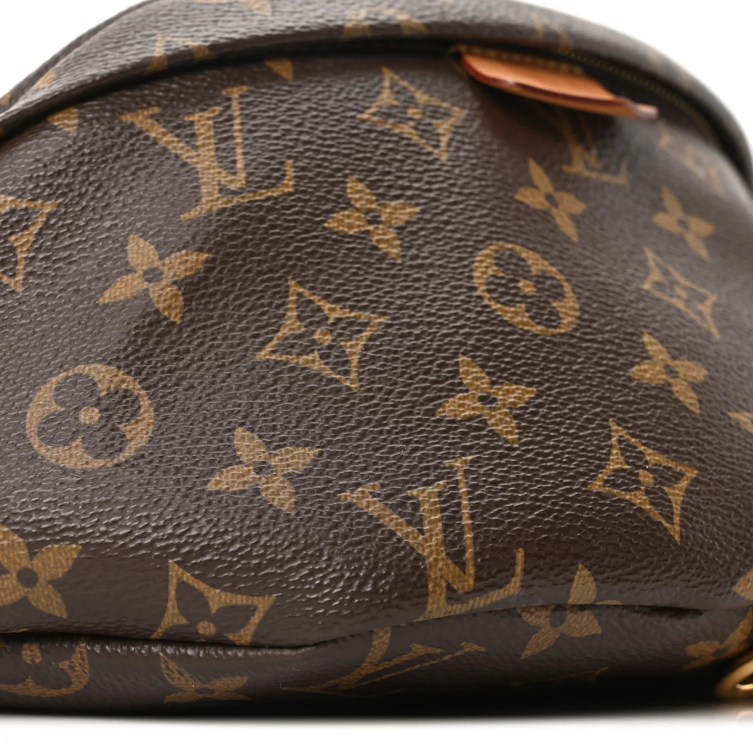 Monogram Bumbag - Image 7