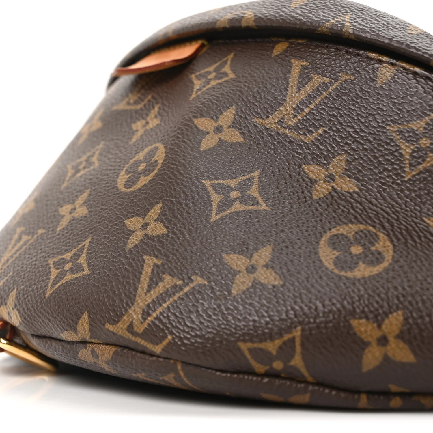 Monogram Bumbag - Image 8