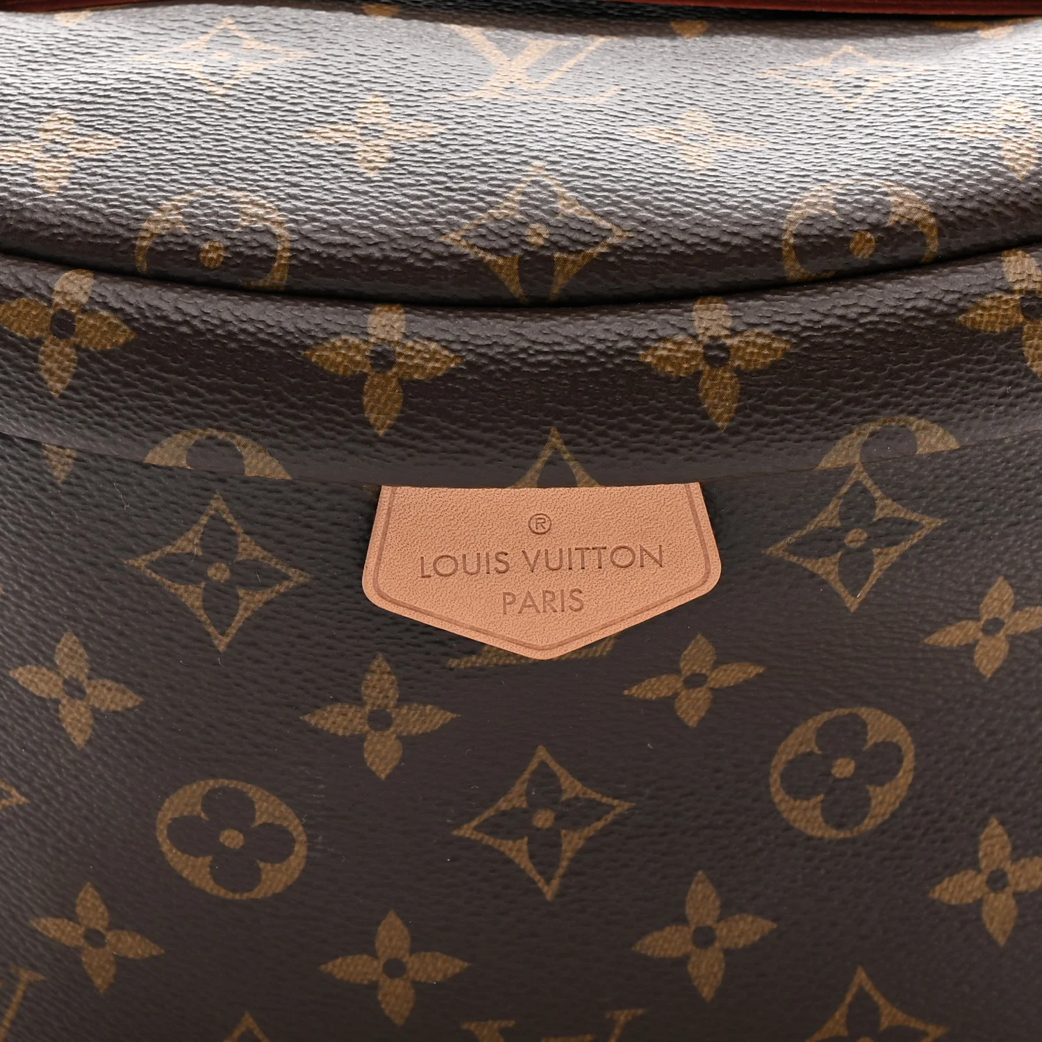 Monogram Bumbag - Image 7