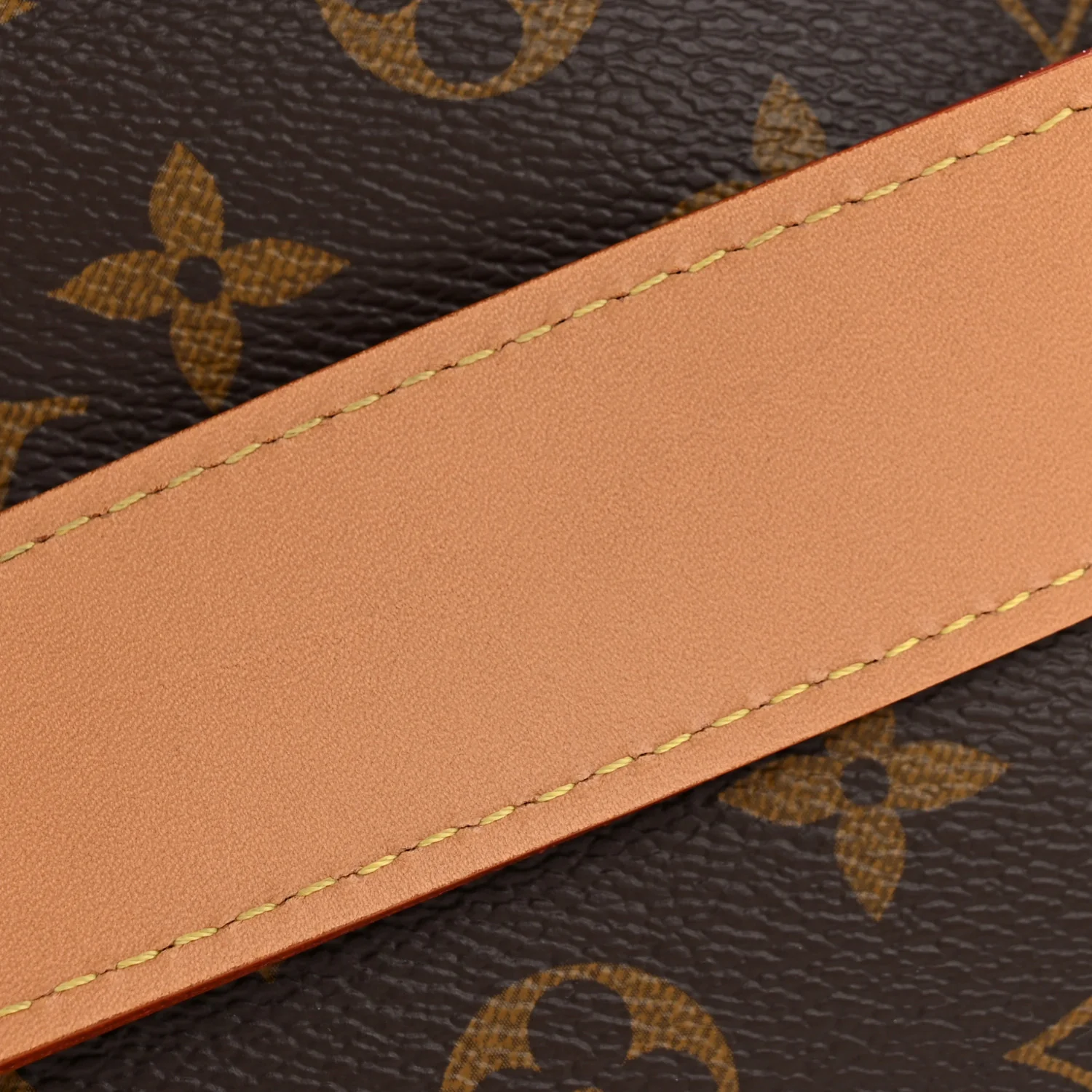 Monogram Carryall PM - Image 13