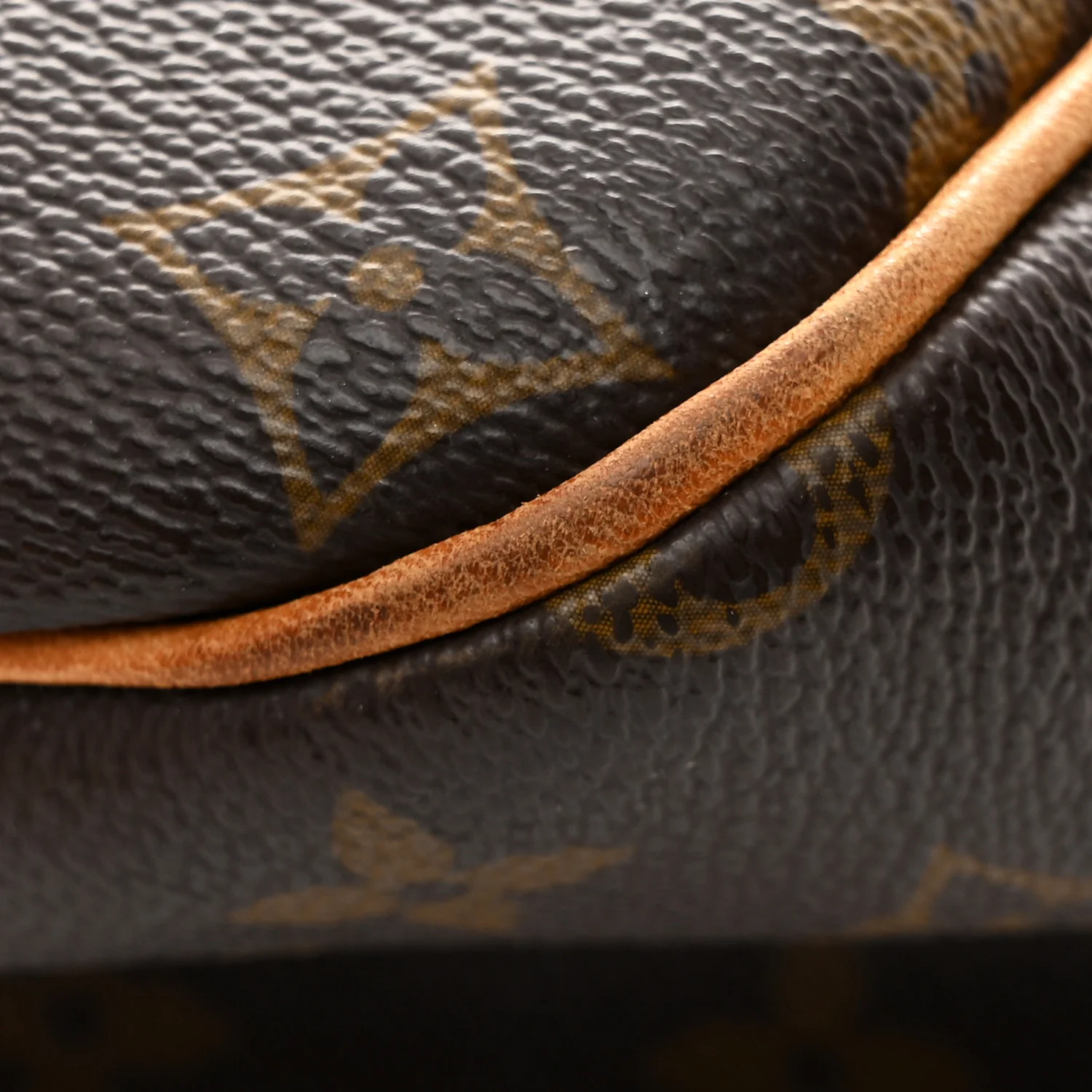 Monogram Delightful GM - Image 19