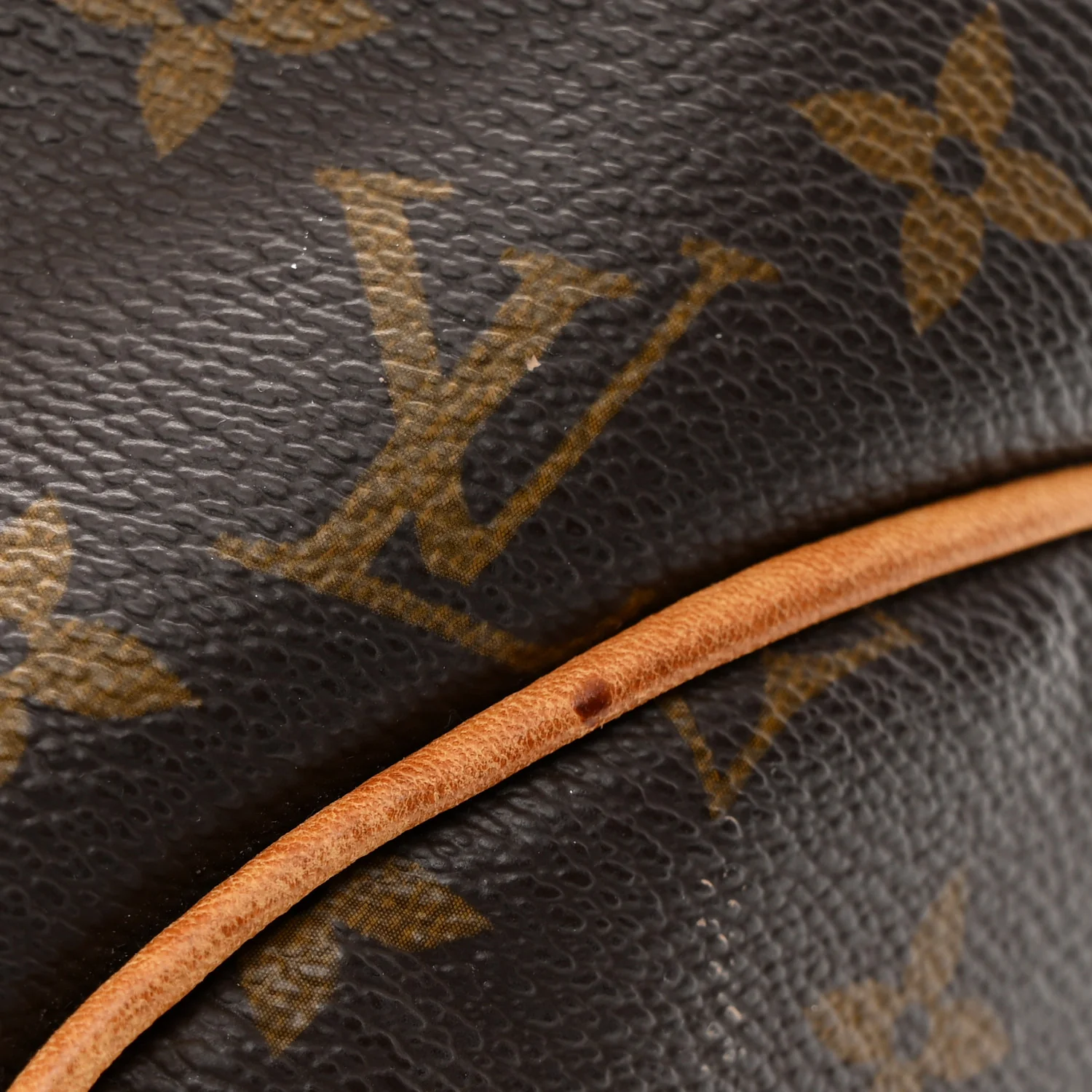 Monogram Delightful GM - Image 21