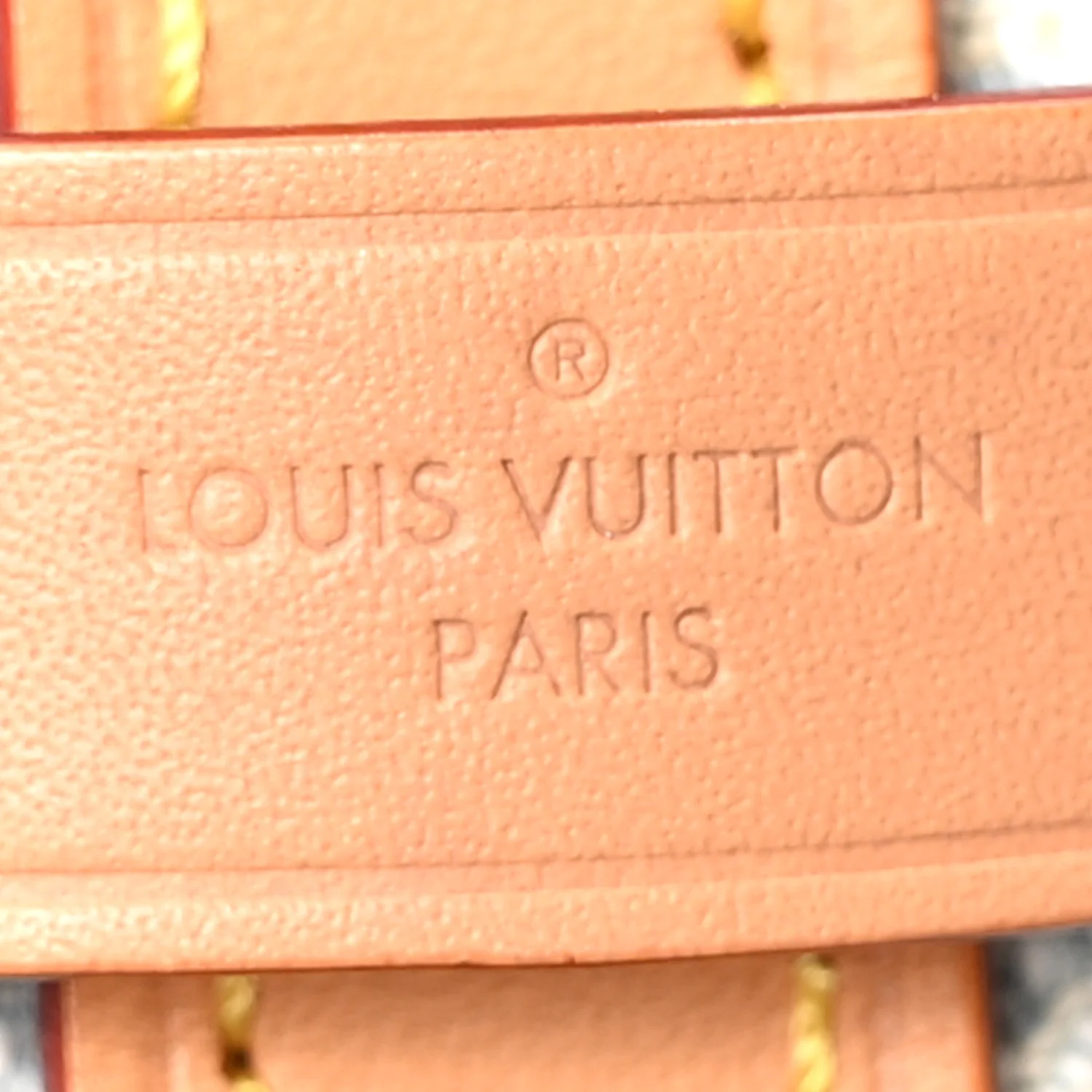 Monogram Denim CarryAll PM Sky Blue - Image 7