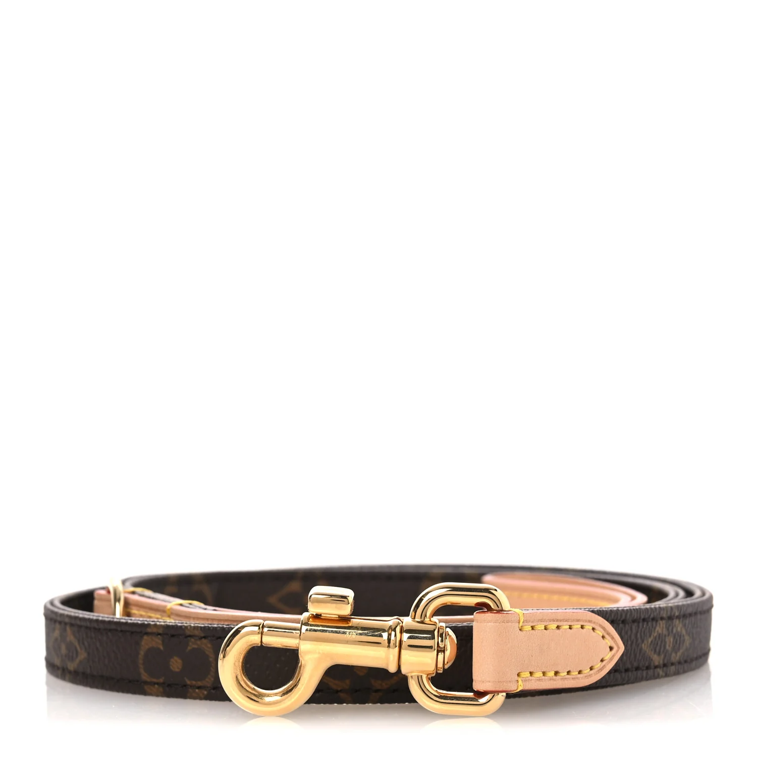 Monogram Dog Leash PM