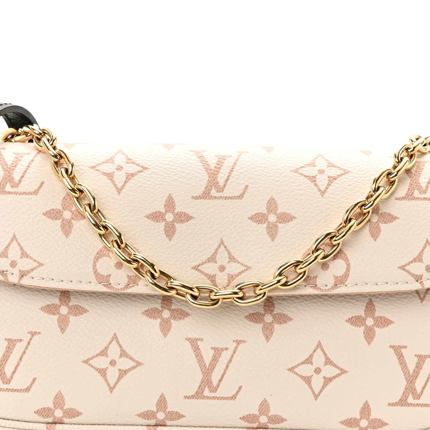 Monogram Dune Ivy Wallet On Chain - Image 7