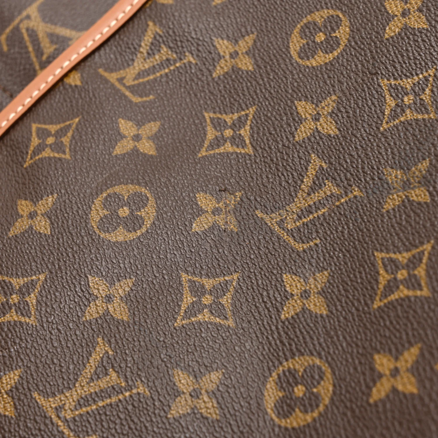 Monogram Garment Bag - Image 11