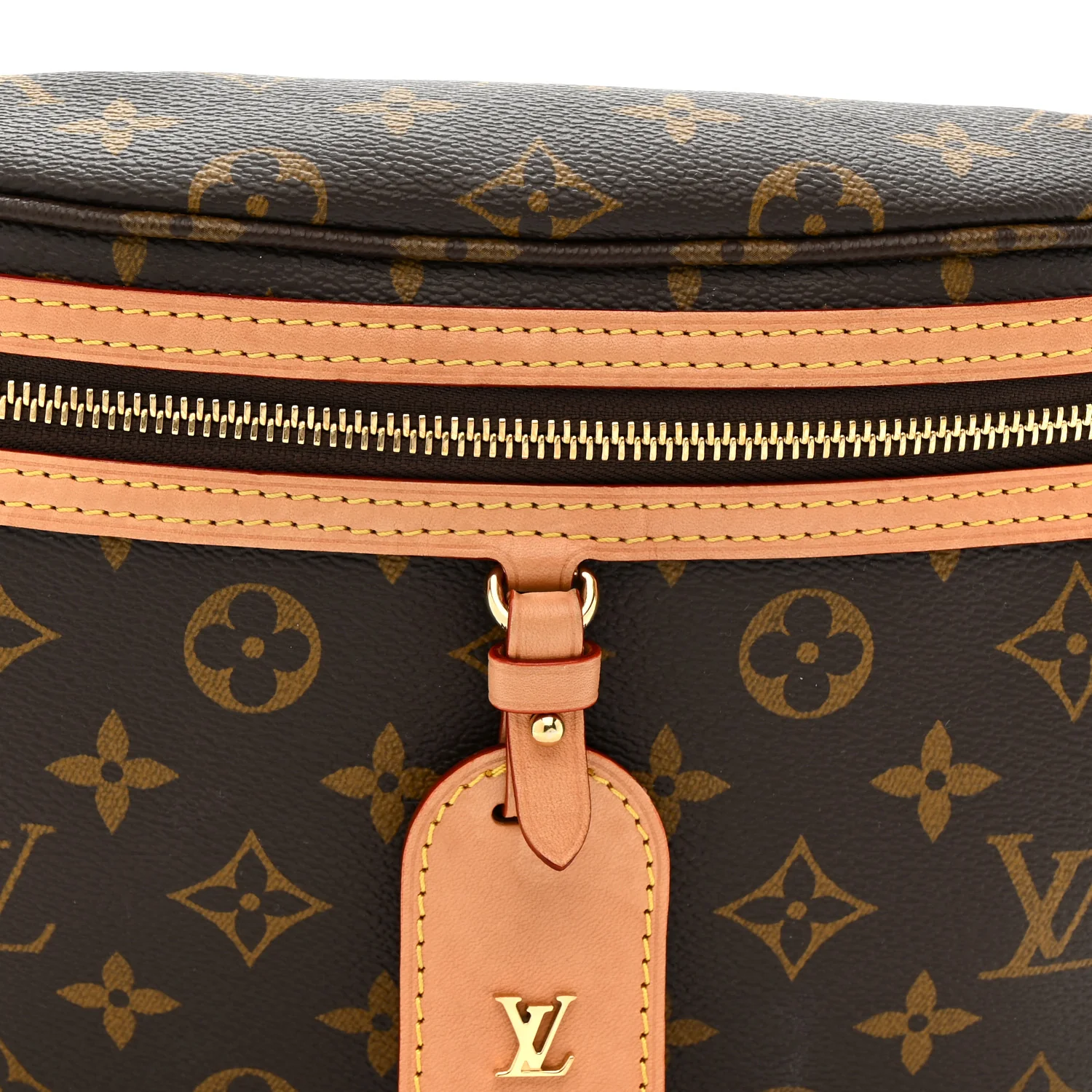 Monogram High Rise Bumbag - Image 15